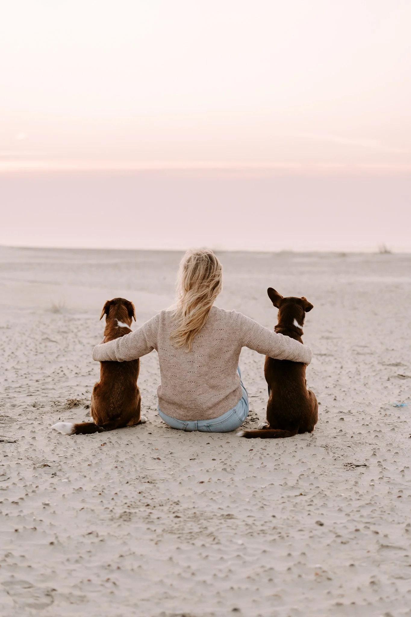 Hundefotografie Holland (1 von 1).jpg