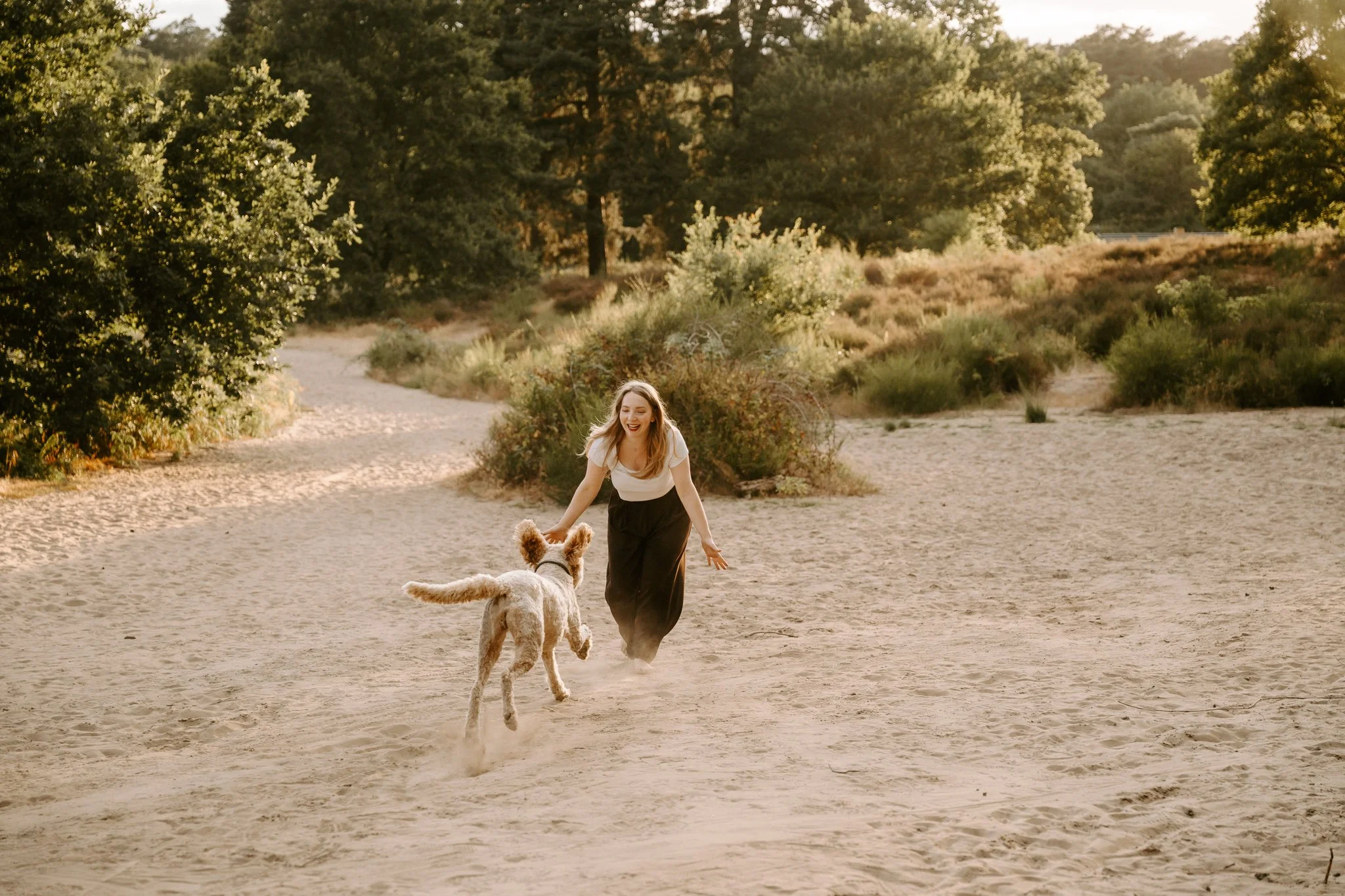 Eine junge Frau spielt im Sand mit einem großen Hund in einer natürlichen Umgebung mit Bäumen und Büsche im Hintergrund.