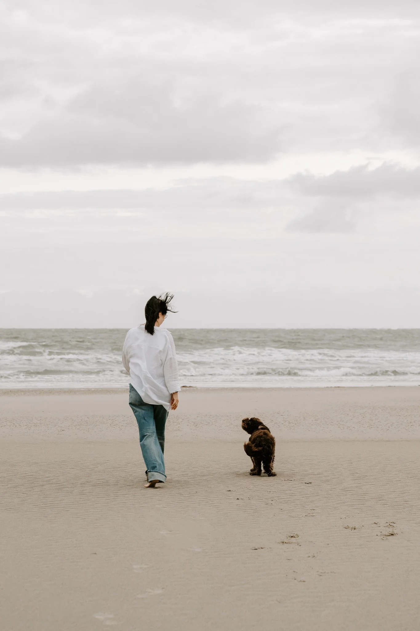 Hundefotos Holland am Strand(1 von 39).jpg