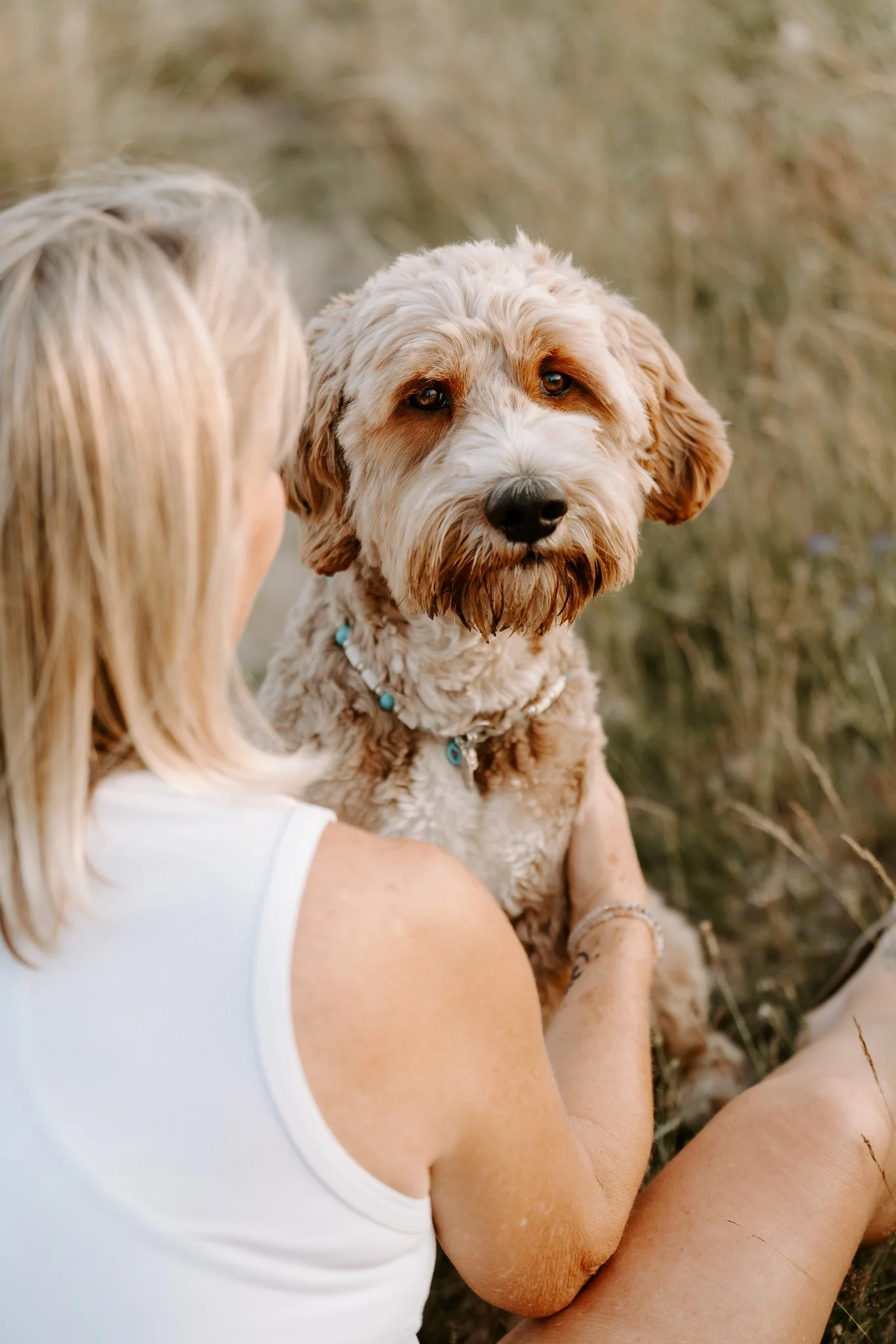 Hundefotografie outdoor Köln (88 von 101).jpg