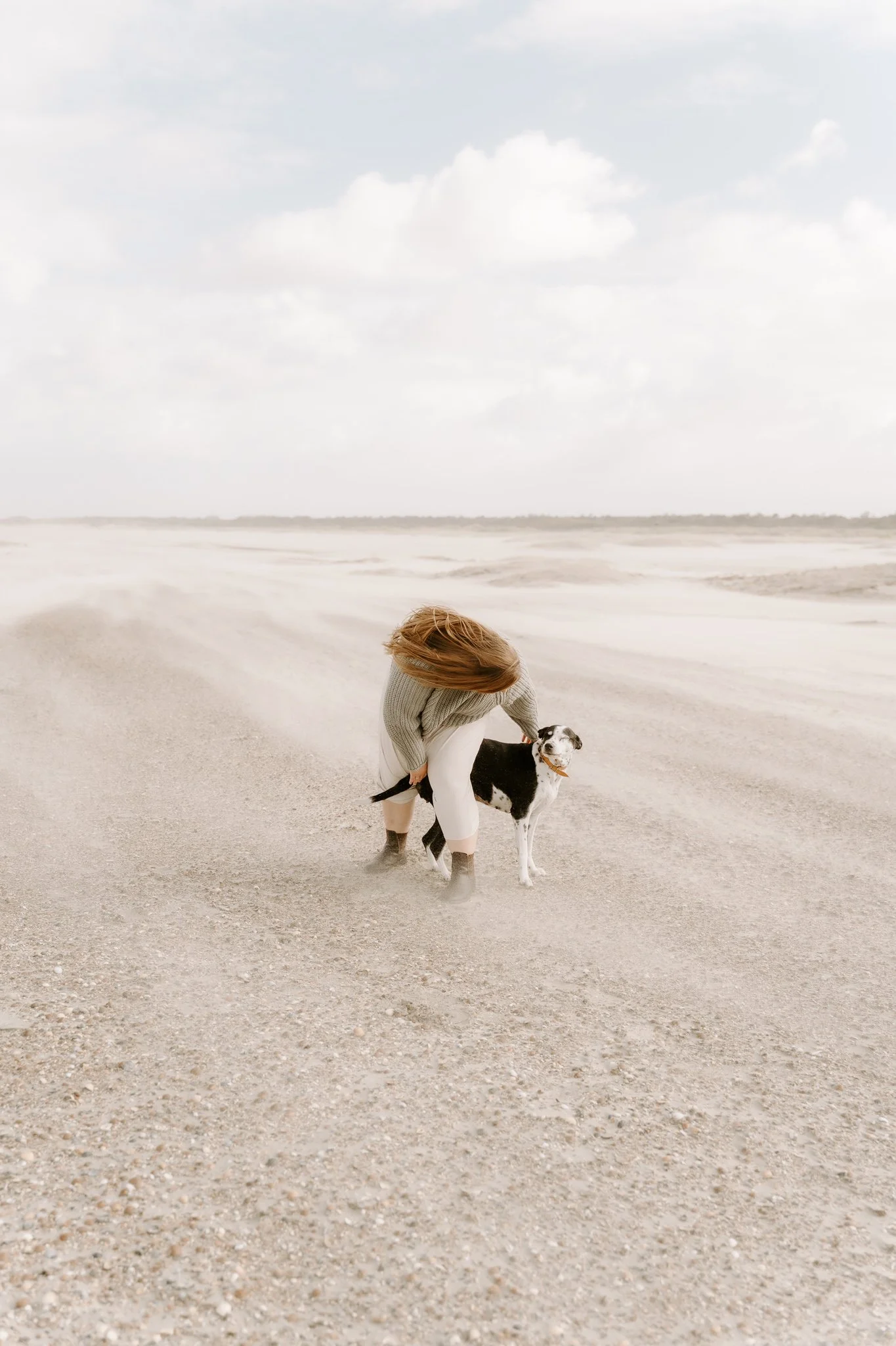 Hundeshooting Holland (16 von 34).jpg