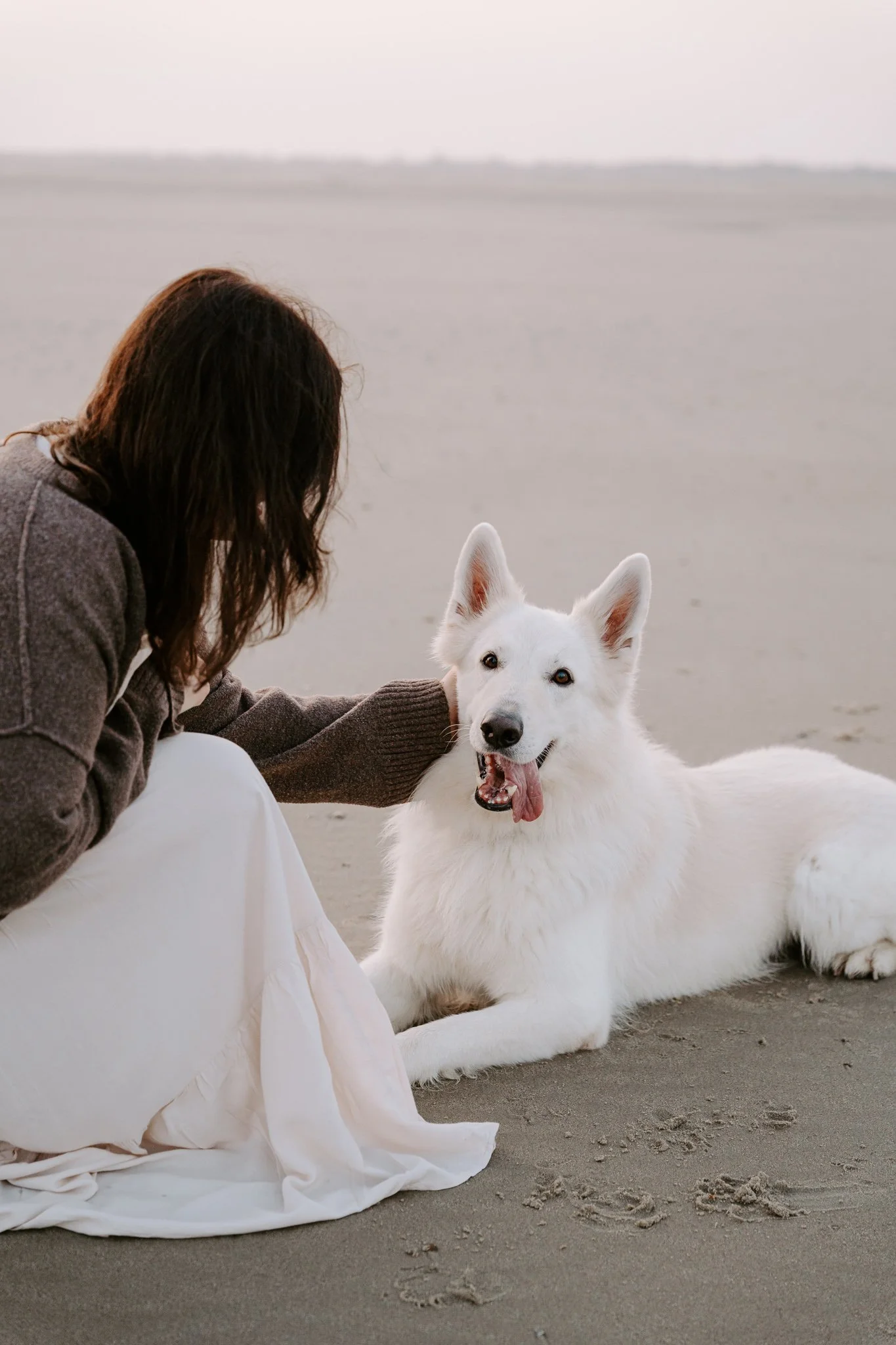 Hundefotografie Holland (5 von 13).jpg
