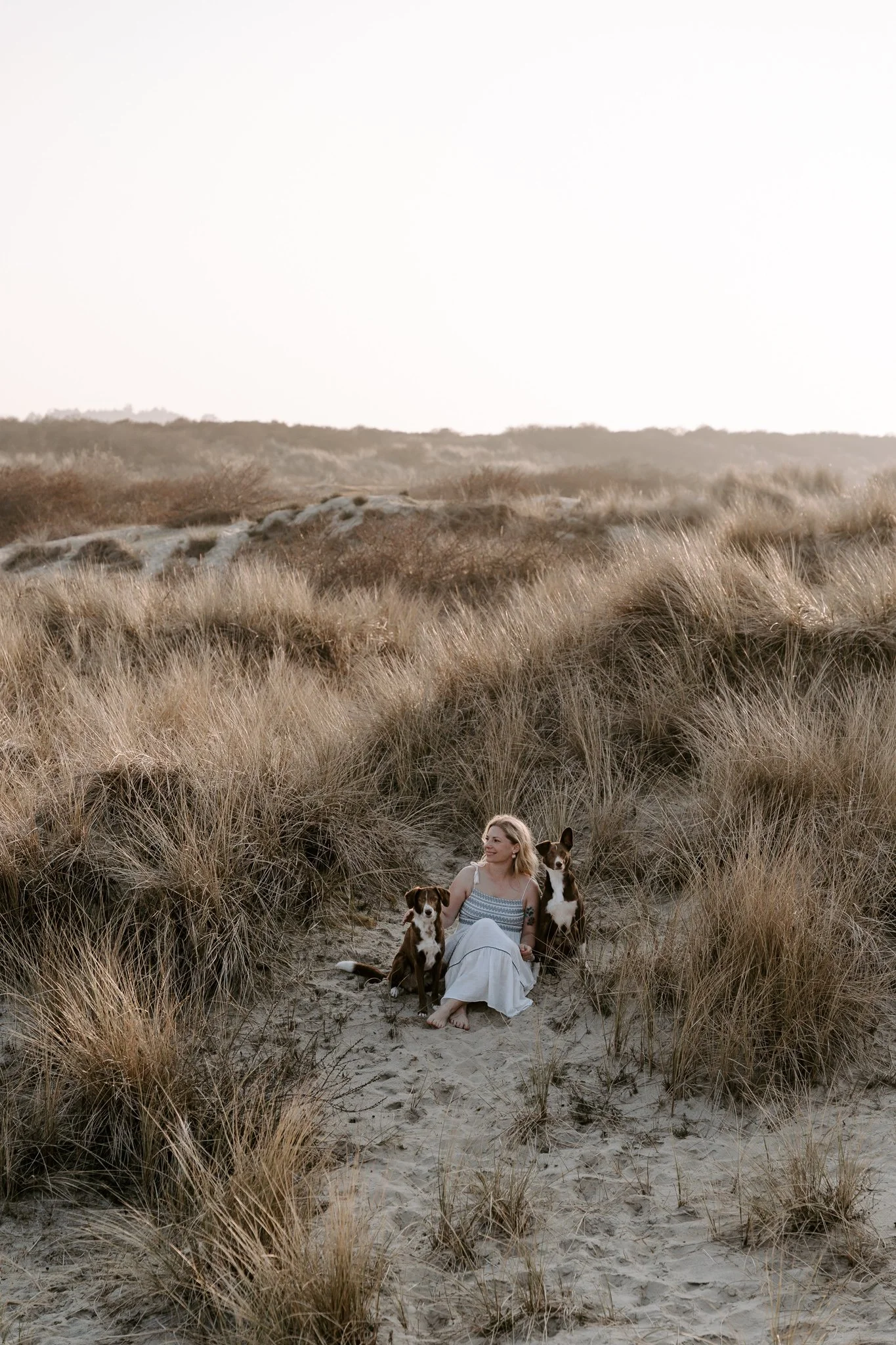 Hundefotografie Holland (5 von 12).jpg