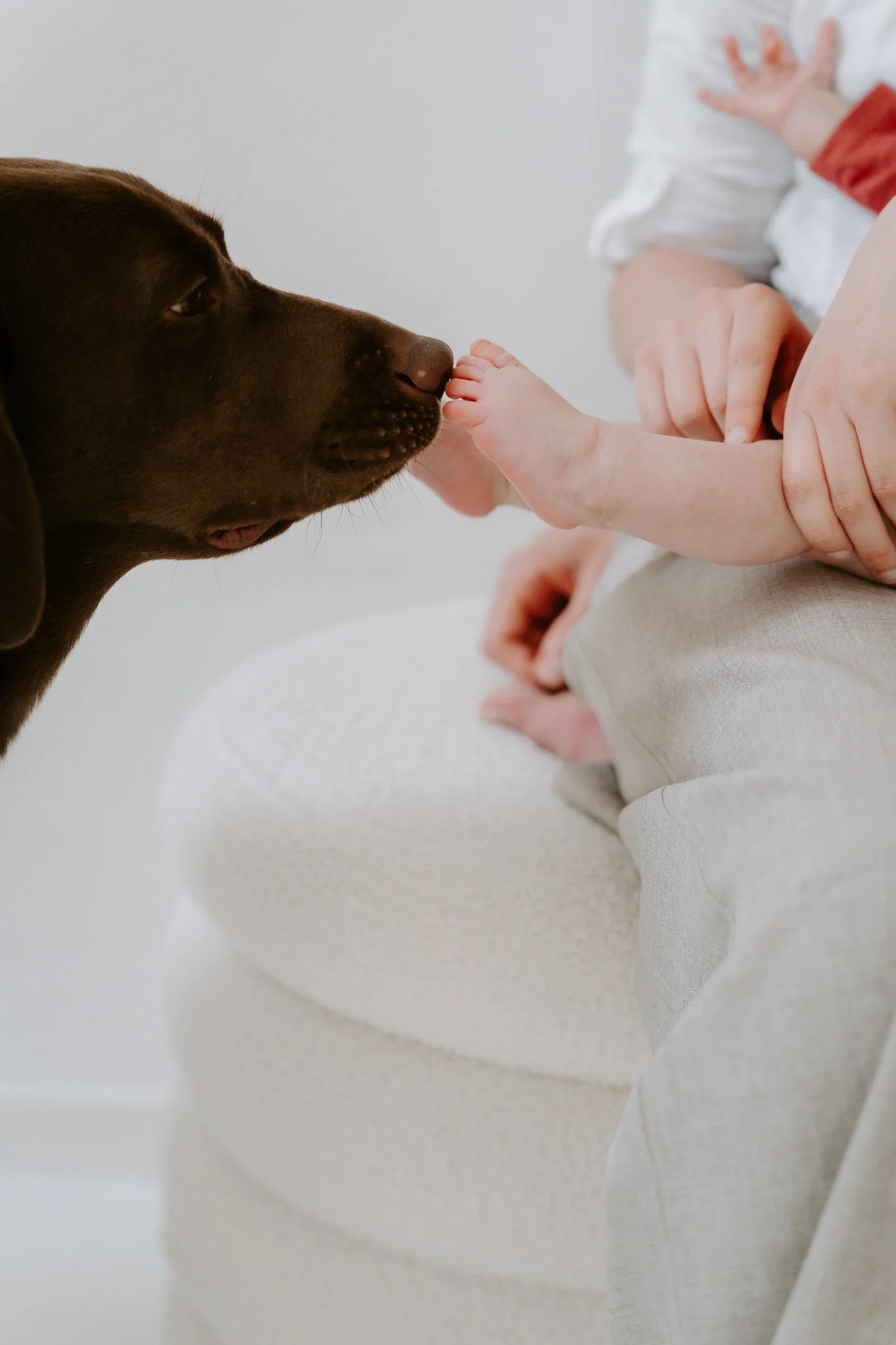 Familienshootoing mit Hund Köln - Bohoandclassy Fotografie(26 von 28).jpg