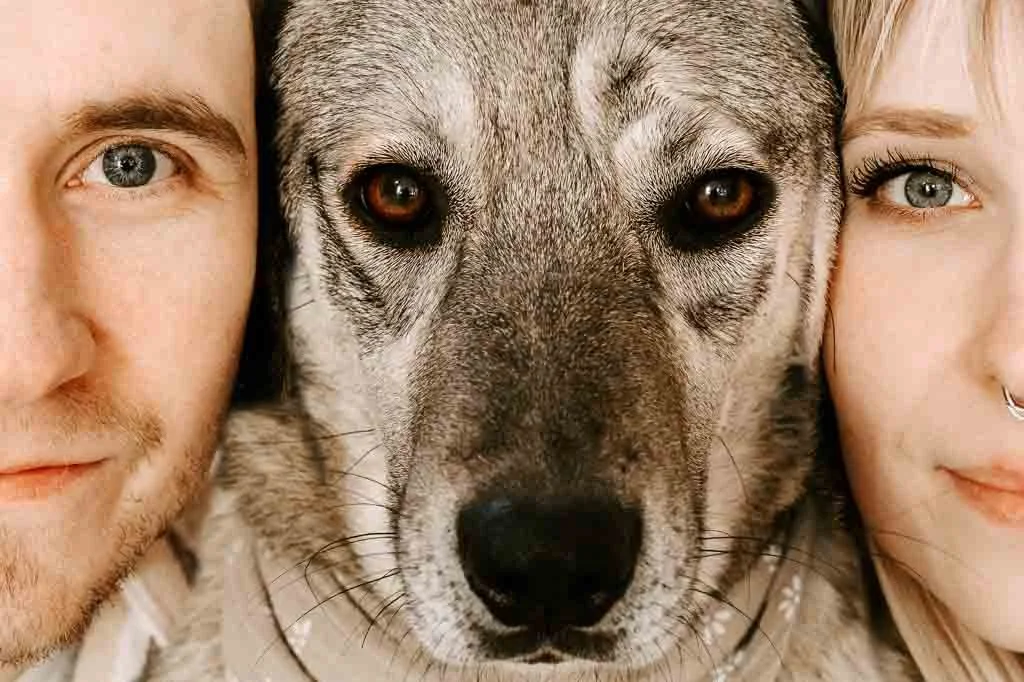Ein Mann, eine Frau und ein Husky-Hund sind eng beieinander und schauen in die Kamera.