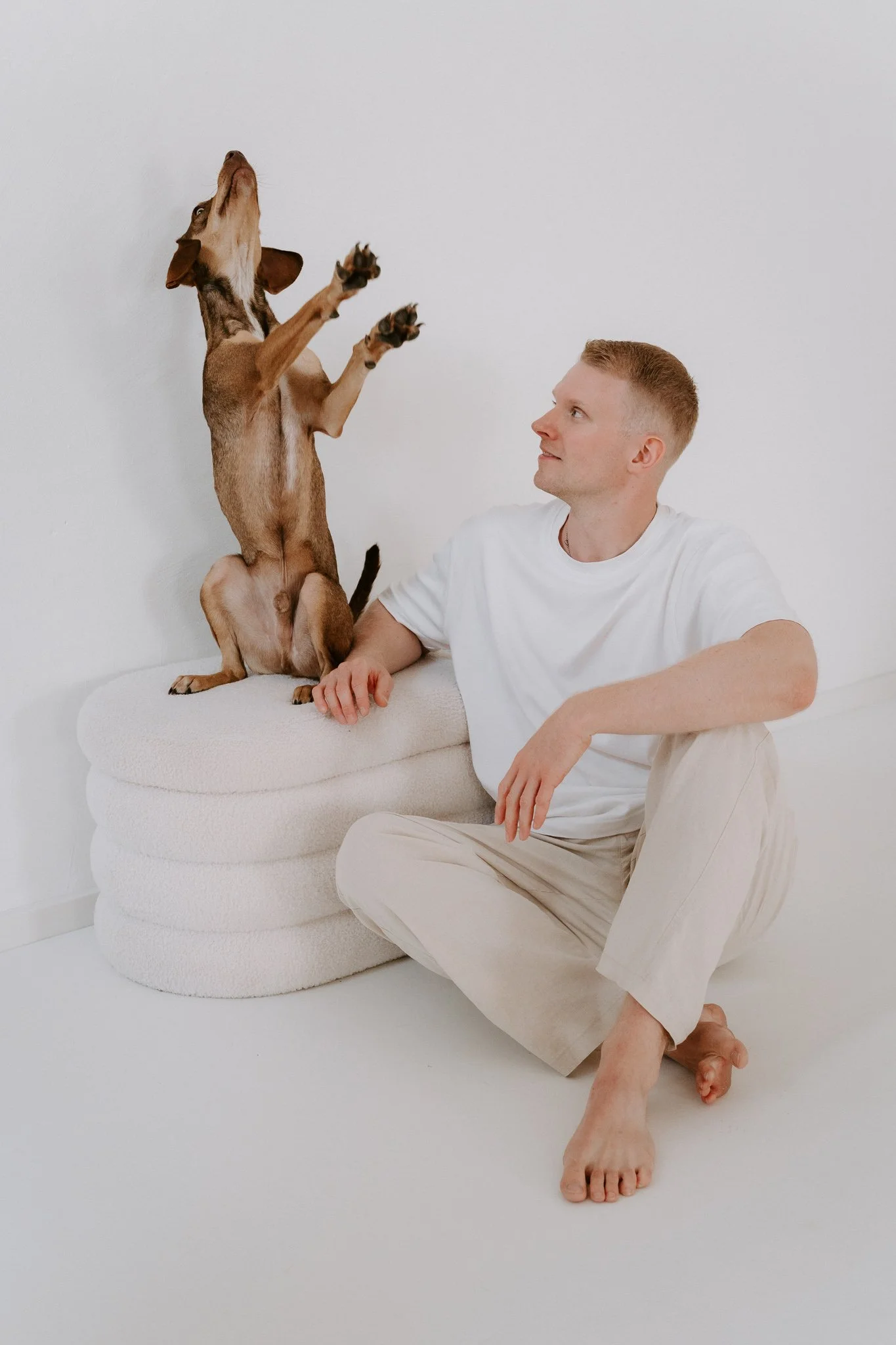 Ein Mann sitzt auf dem Boden, während ein Hund auf einem gepolsterten Couchpolster steht und nach oben schaut. Der Hund zeigt seine Pfoten in die Luft.