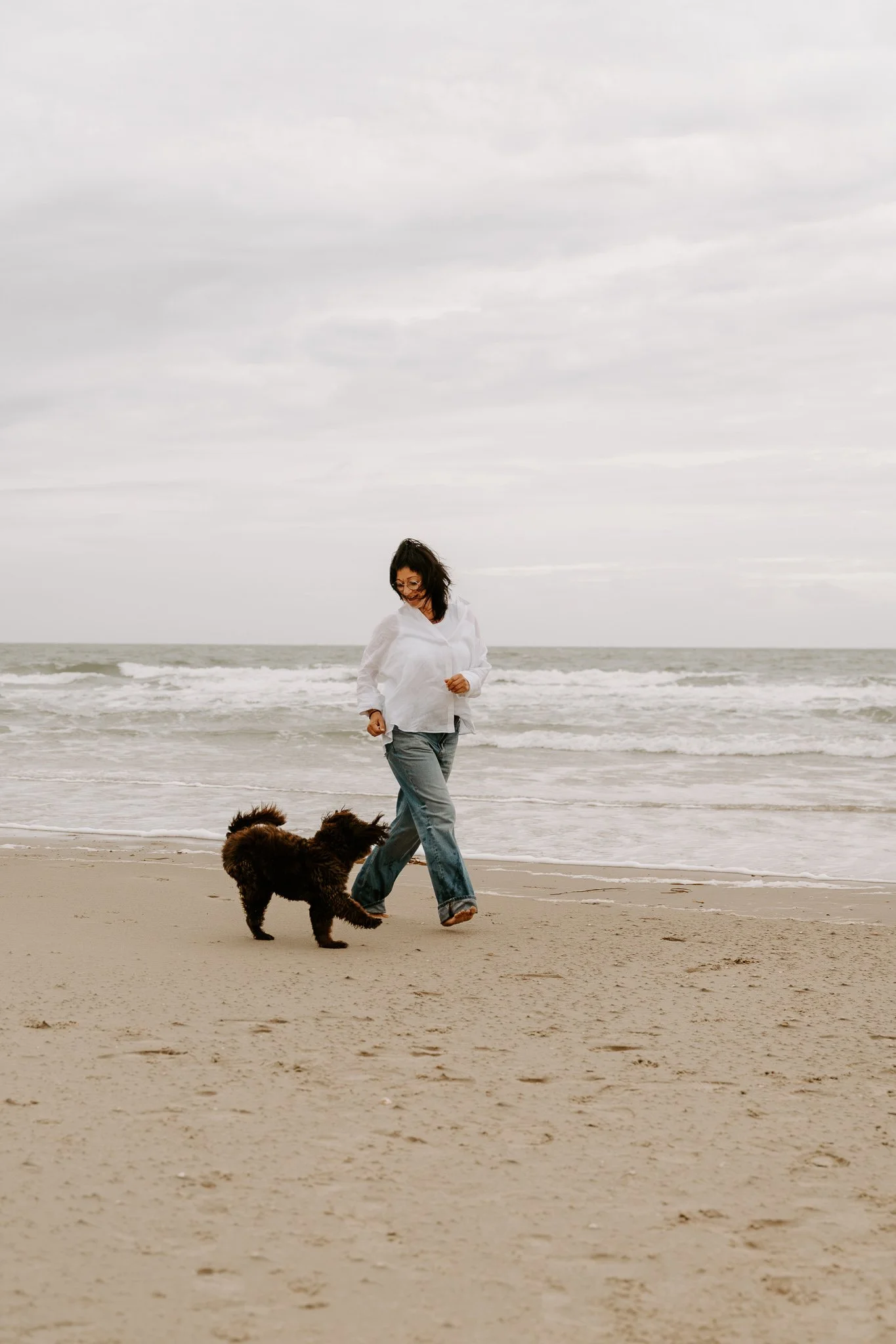Hundefotos Holland am Strand(12 von 39).jpg