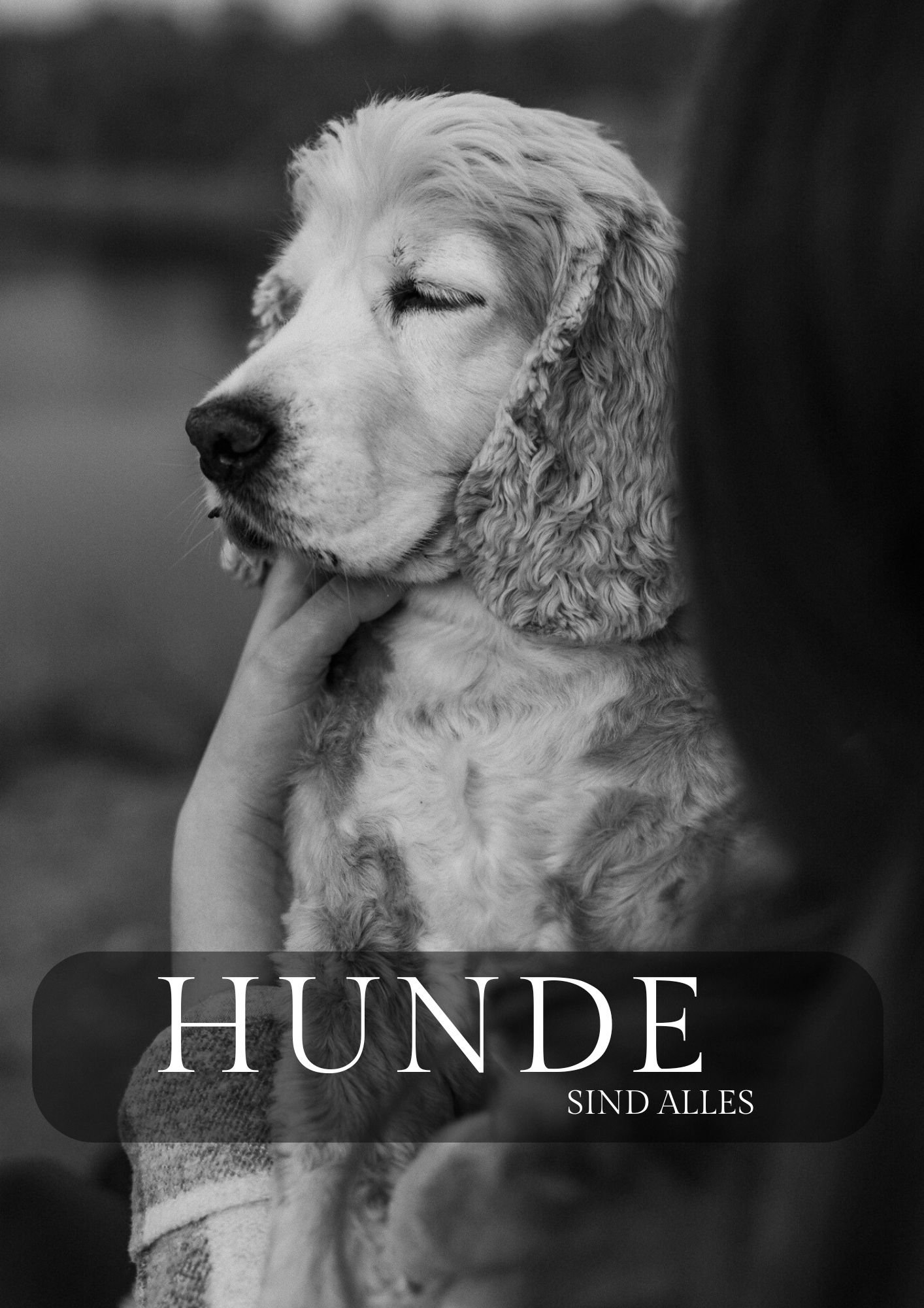 Schwarz-weiß Foto eines glücklichen Cocker Spaniels, der in einer menschlichen Hand gehalten wird. Der Hund hat lange, lockige Ohren und scheint die Augen geschlossen zu haben. Text auf dem Bild lautet: "Hunde sind alles".