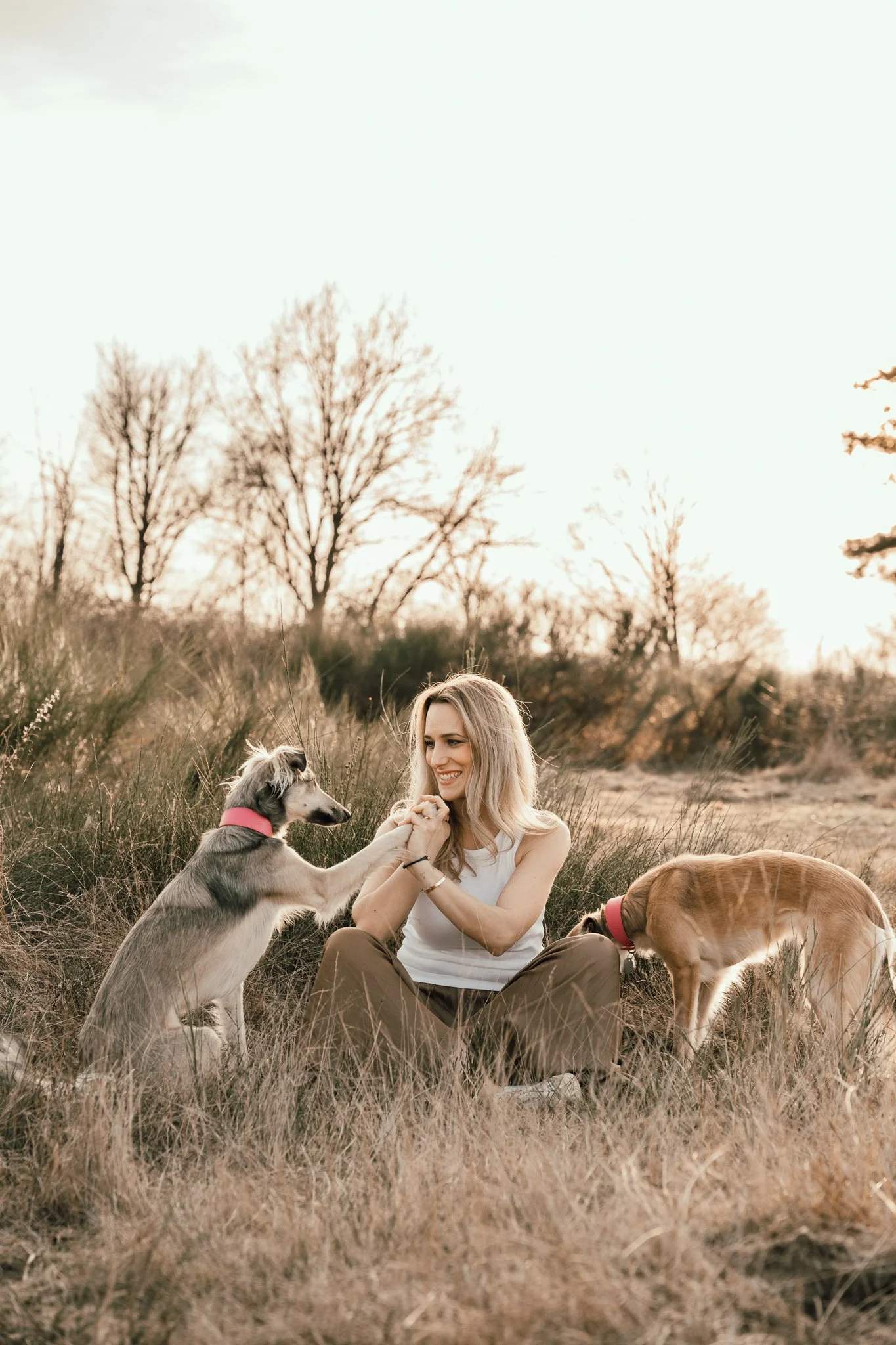 Businessshooting mit Hund in Köln (29 von 35).jpg