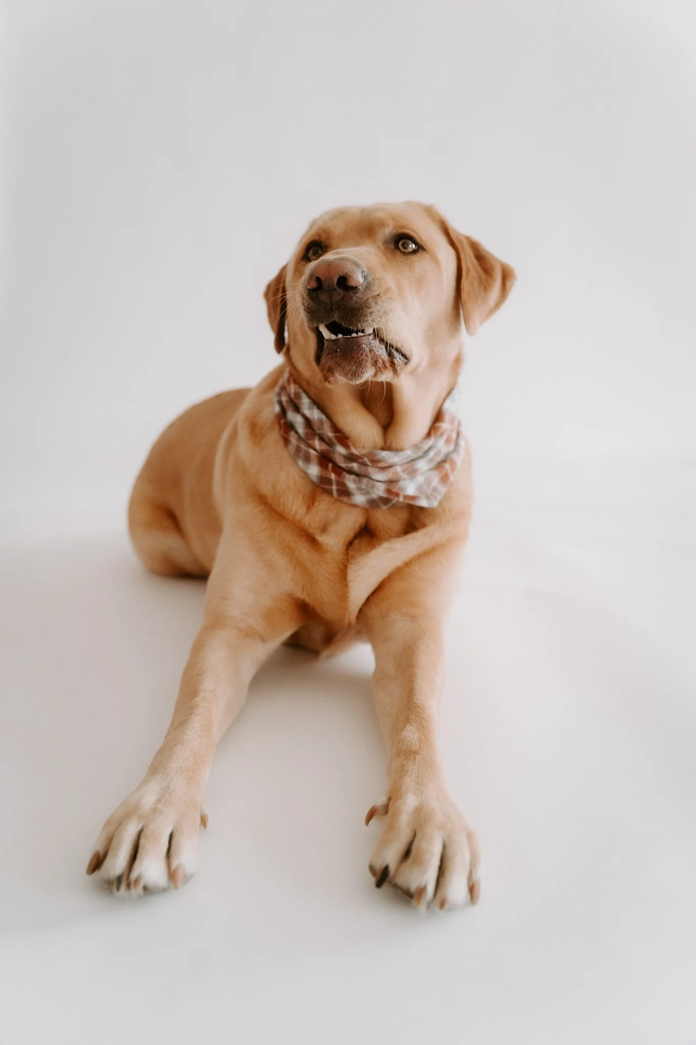 HUndefotos Köln Studio (14 von 21).jpg