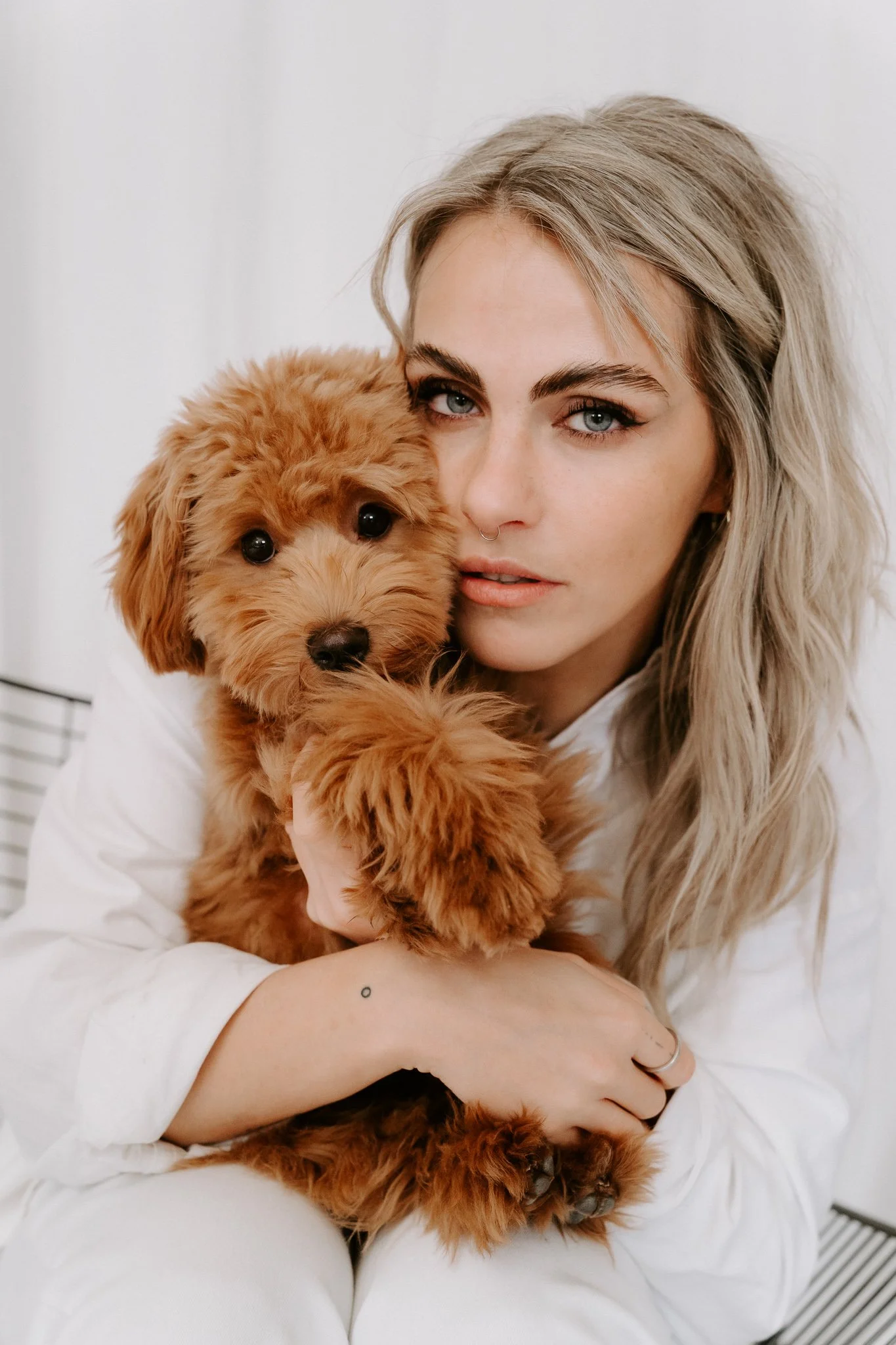 Hundefotografie indoor Köln (3 von 4).jpg
