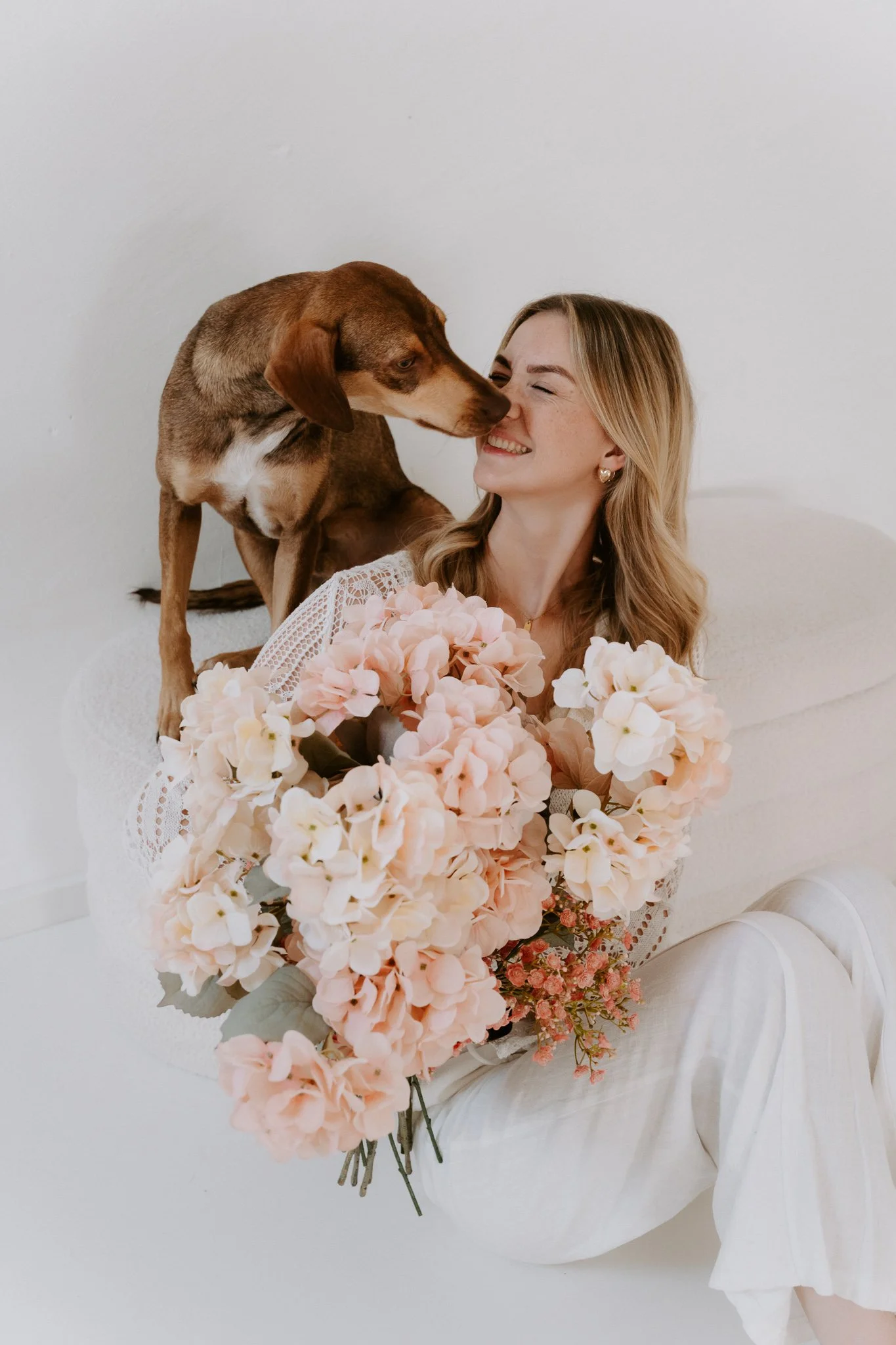 Hundefotografie indoor clean (2 von 2).jpg