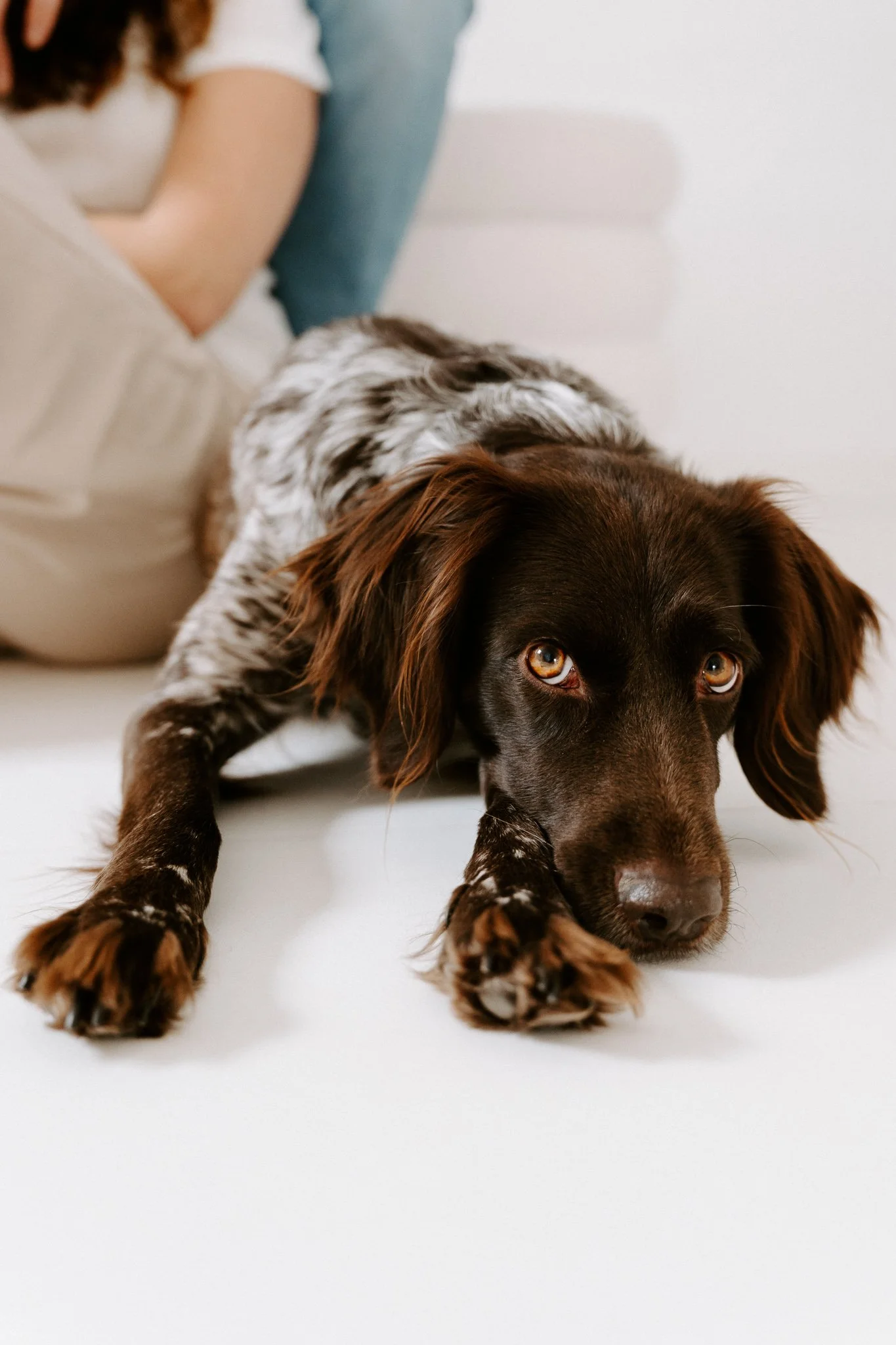 Familienshooting mit Hund Köln (3 von 41).jpg
