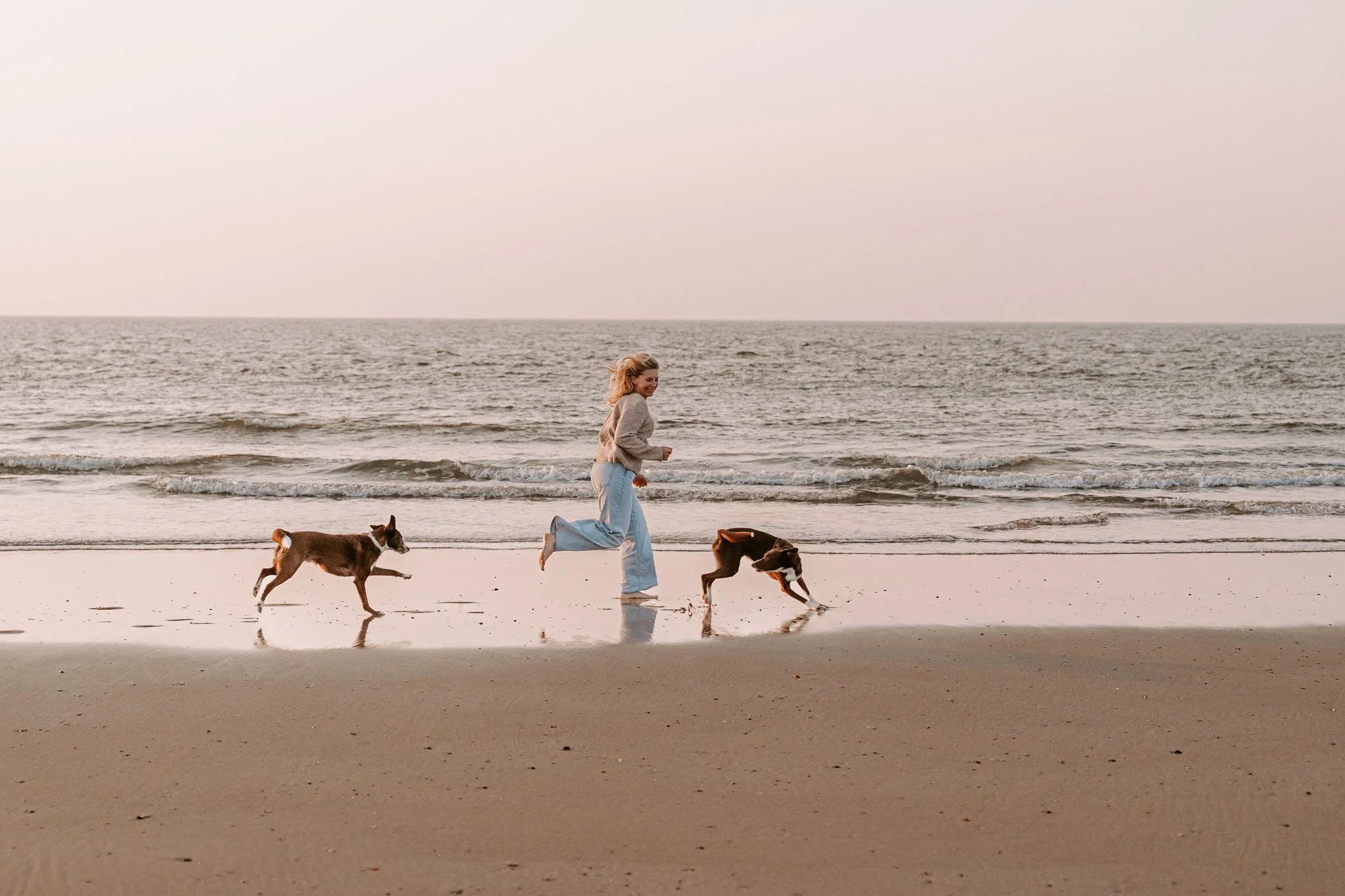 Hundefotografie Holland (11 von 12).jpg