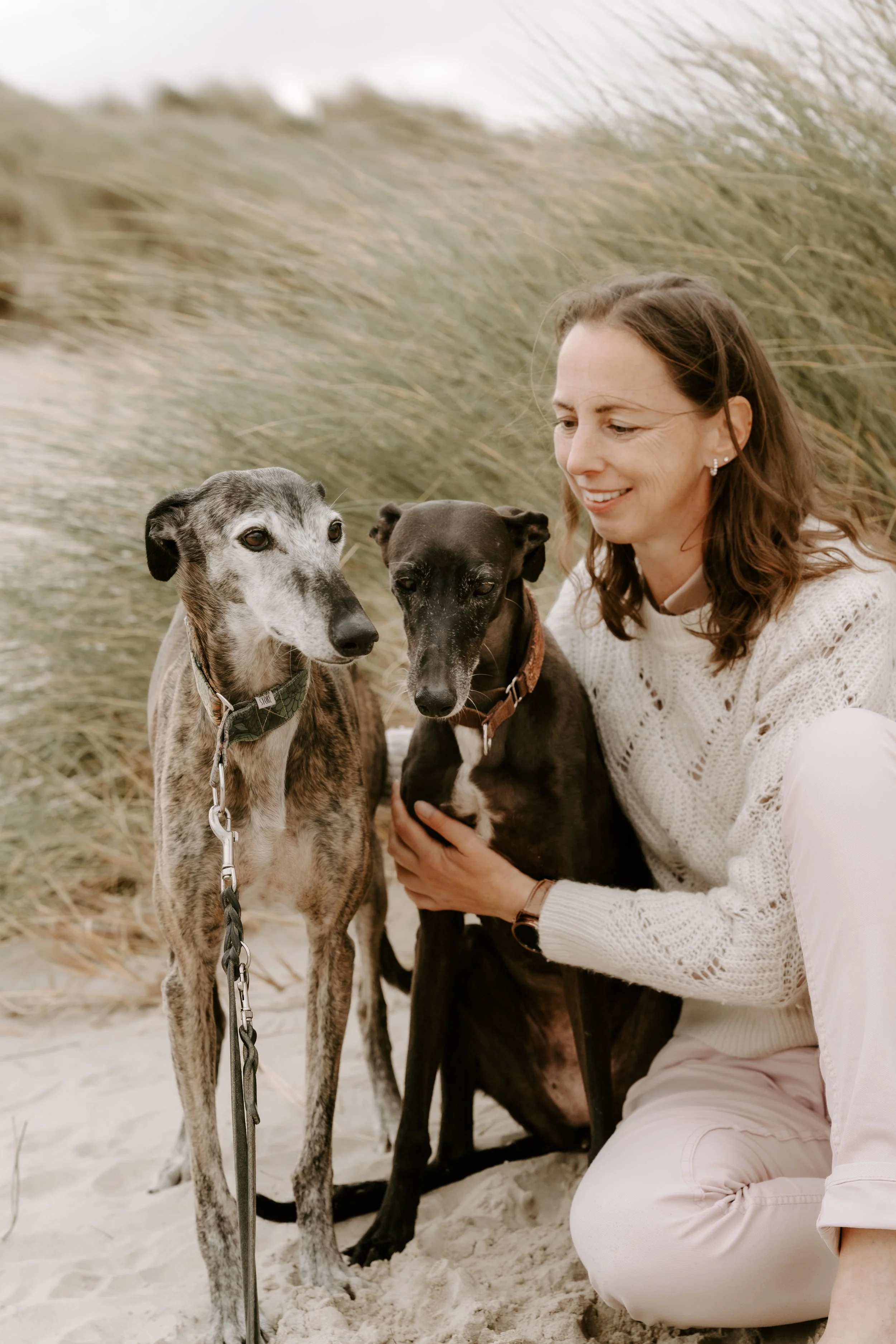 Hundefotografie Holland (6 von 10).jpg