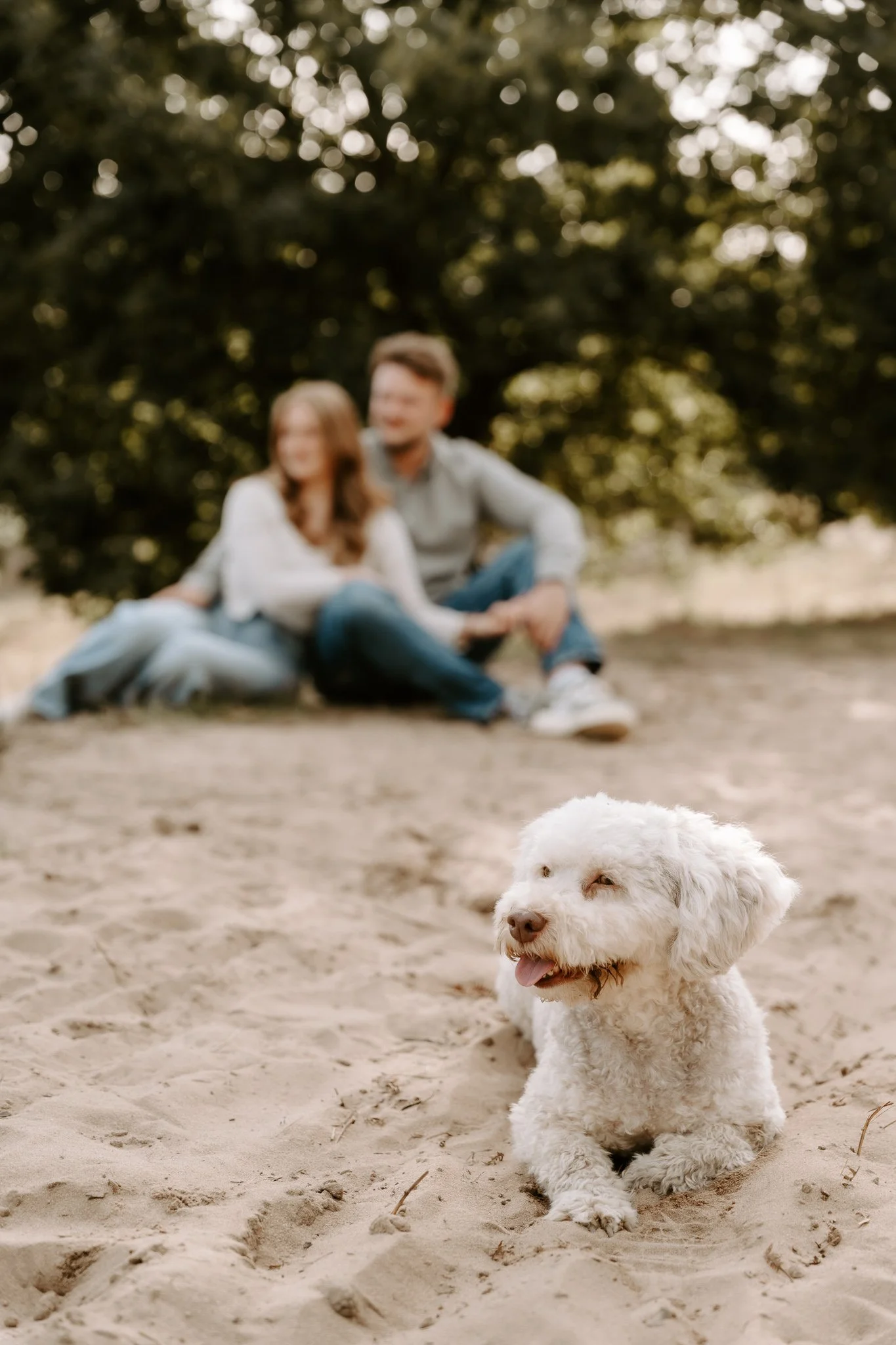 Hundefotografie Köln outdoor (20 von 130).jpg