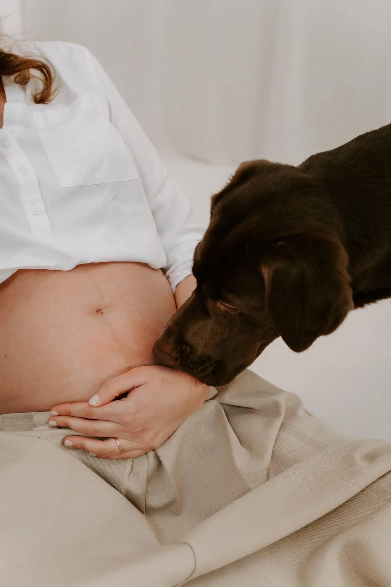 Babybauchshooting mit Hund Köln (15 von 35).jpg