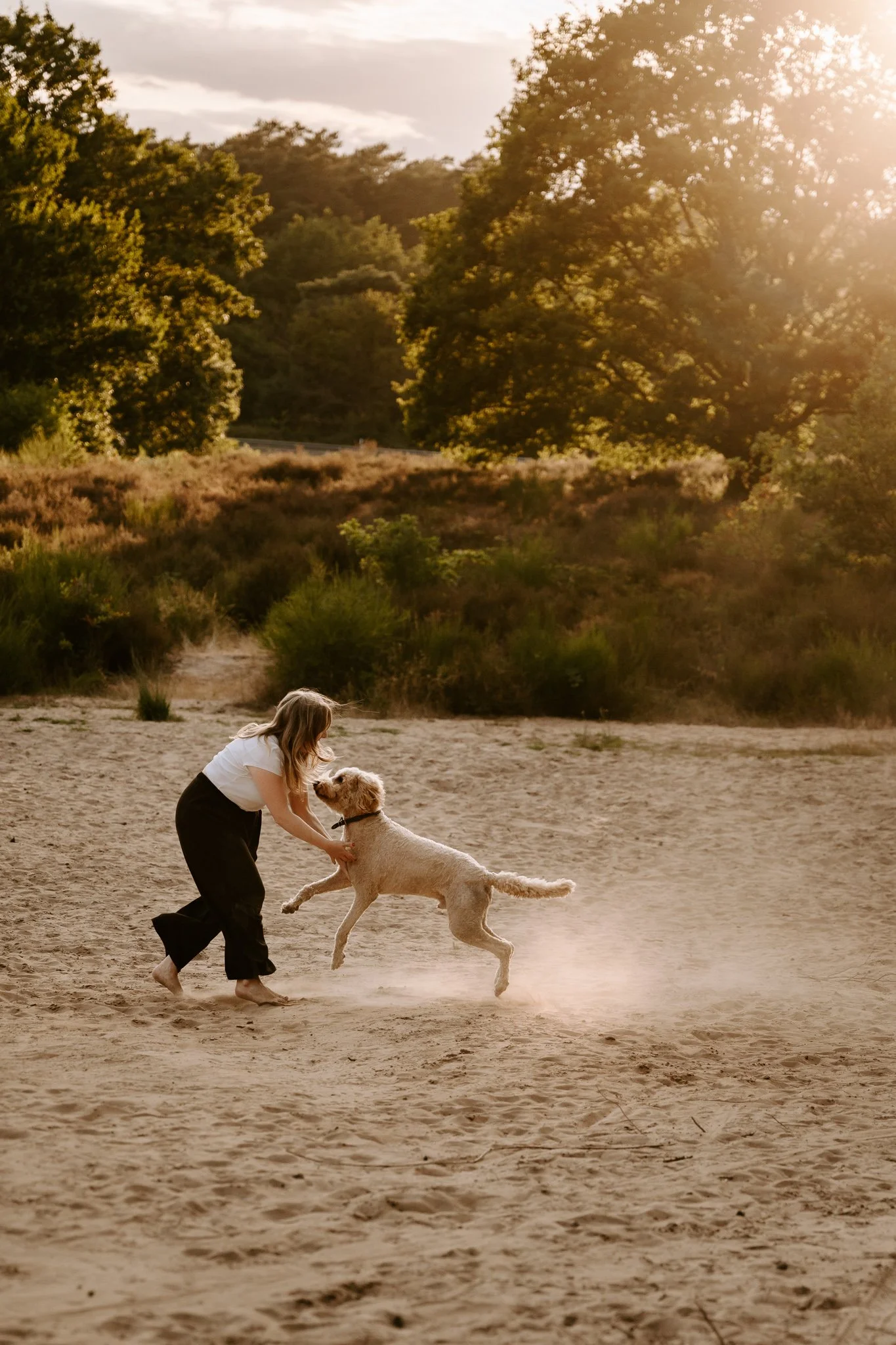 Hundeshooting in der Natur Köln (47 von 48).jpg