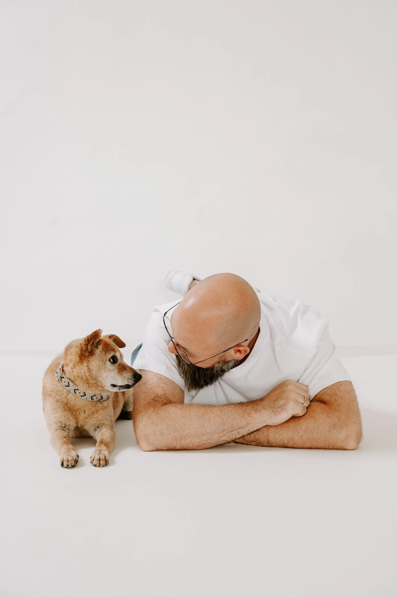 Hundefotografie indoor Köln (4 von 15).jpg