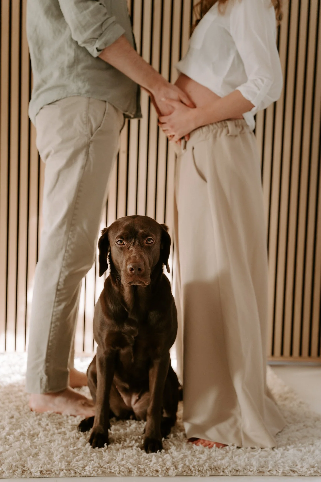 Babybauchshooting mit Hund Köln (21 von 35).jpg