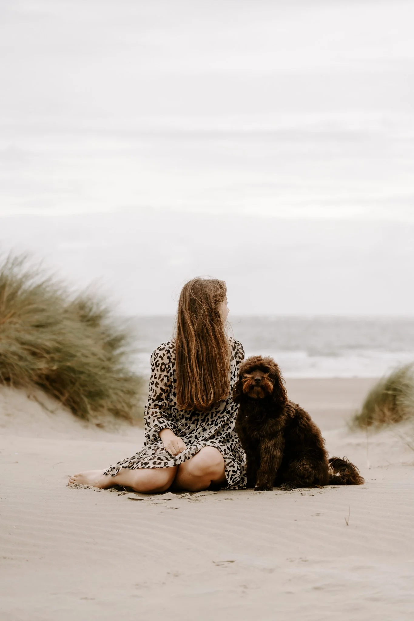 Hundefotos Holland am Strand(20 von 39).jpg