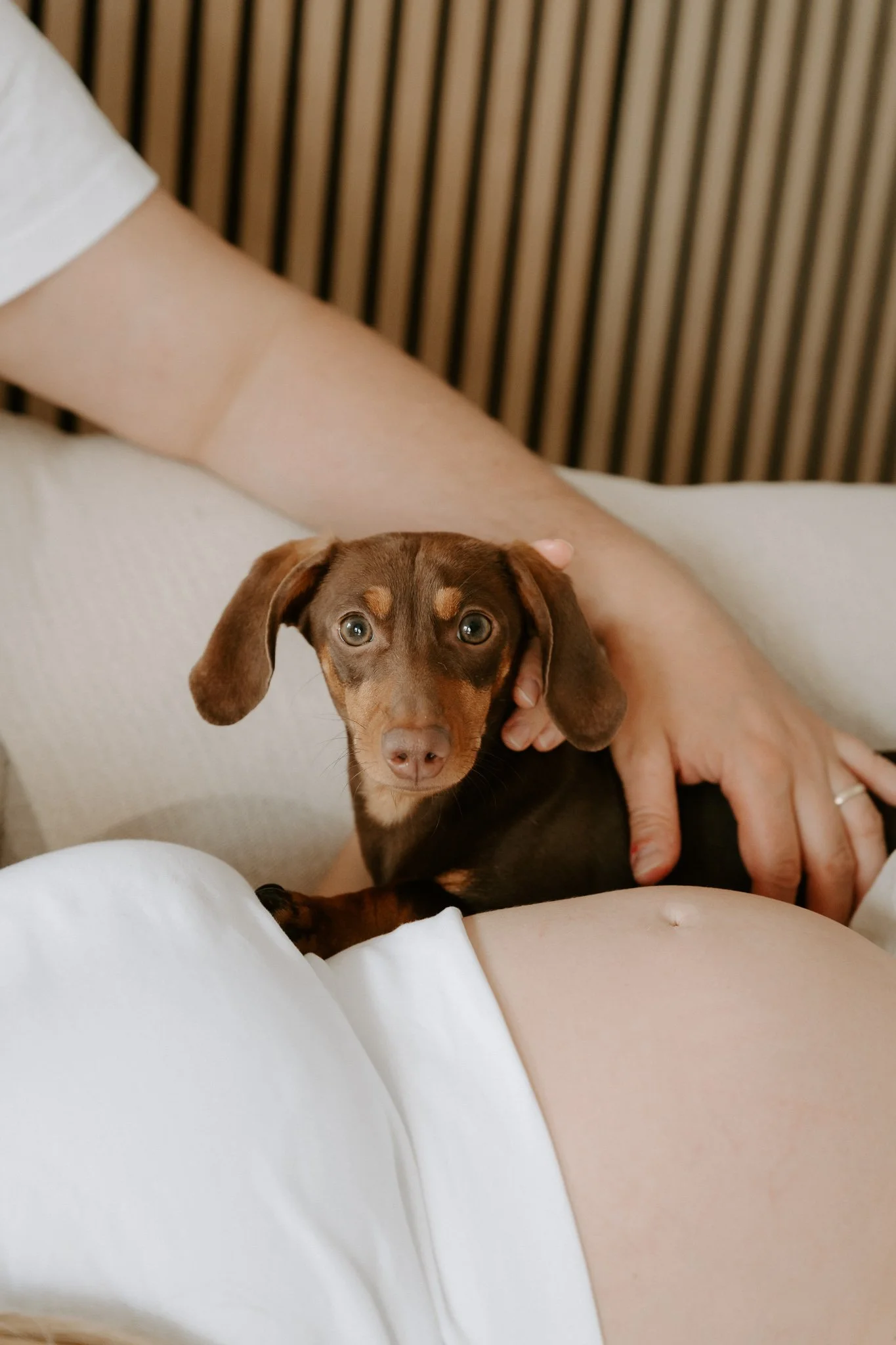 Babybauchshooting mit Hund Köln(31 von 65).jpg
