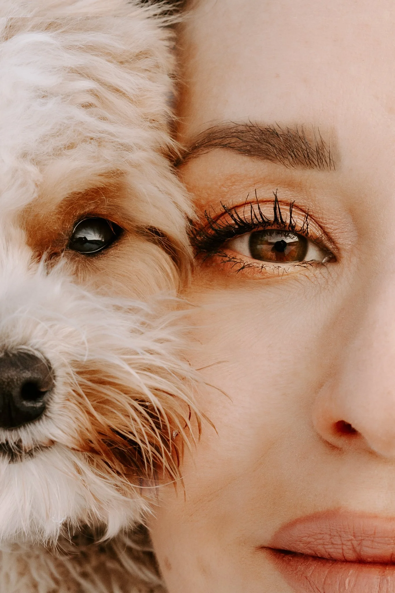 Hundefotografin NRW und deutschlandweit - Bohoandclassy Fotografie (14 von 16).jpg