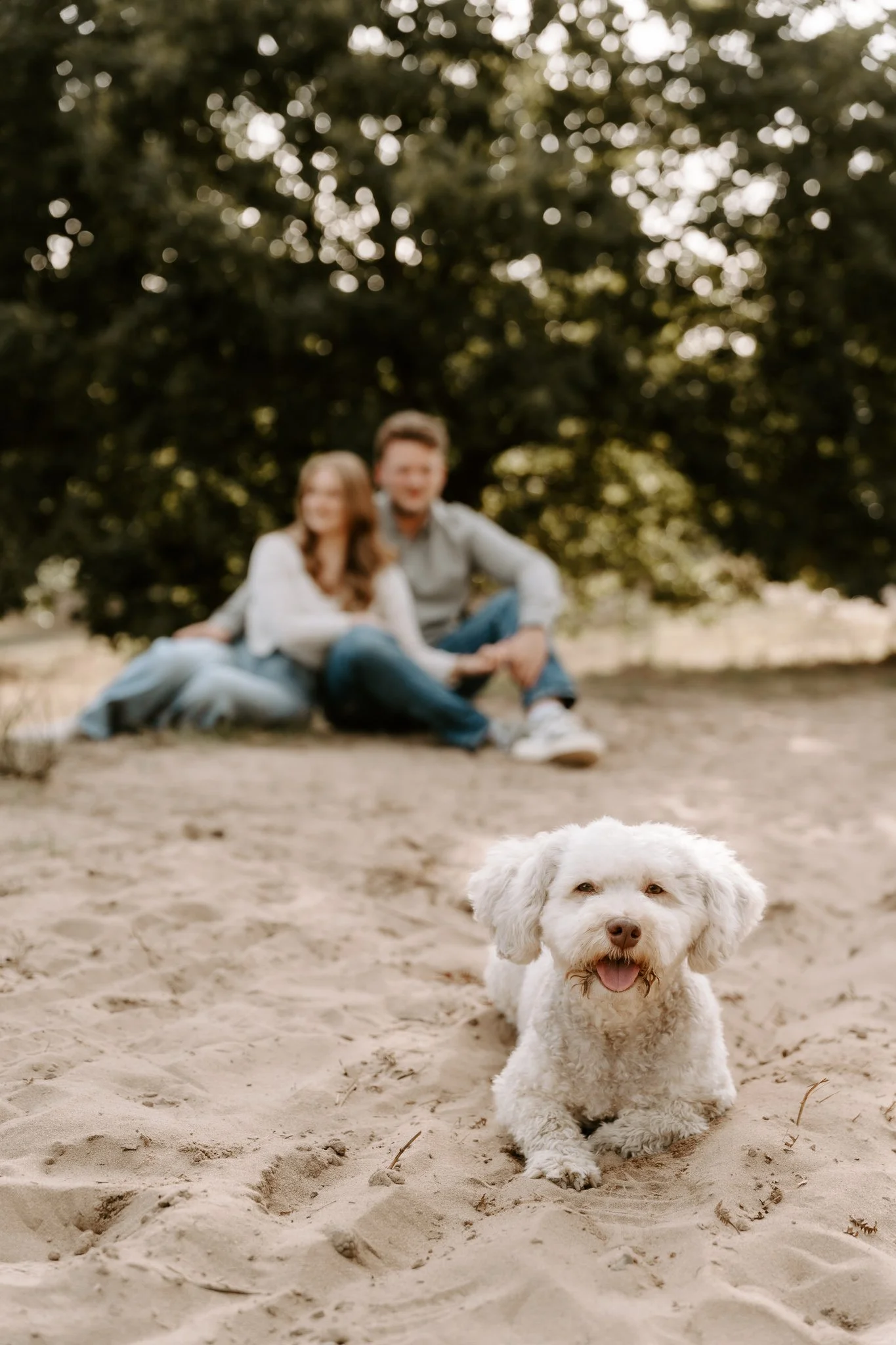 Hundefotografie Köln outdoor (21 von 130).jpg