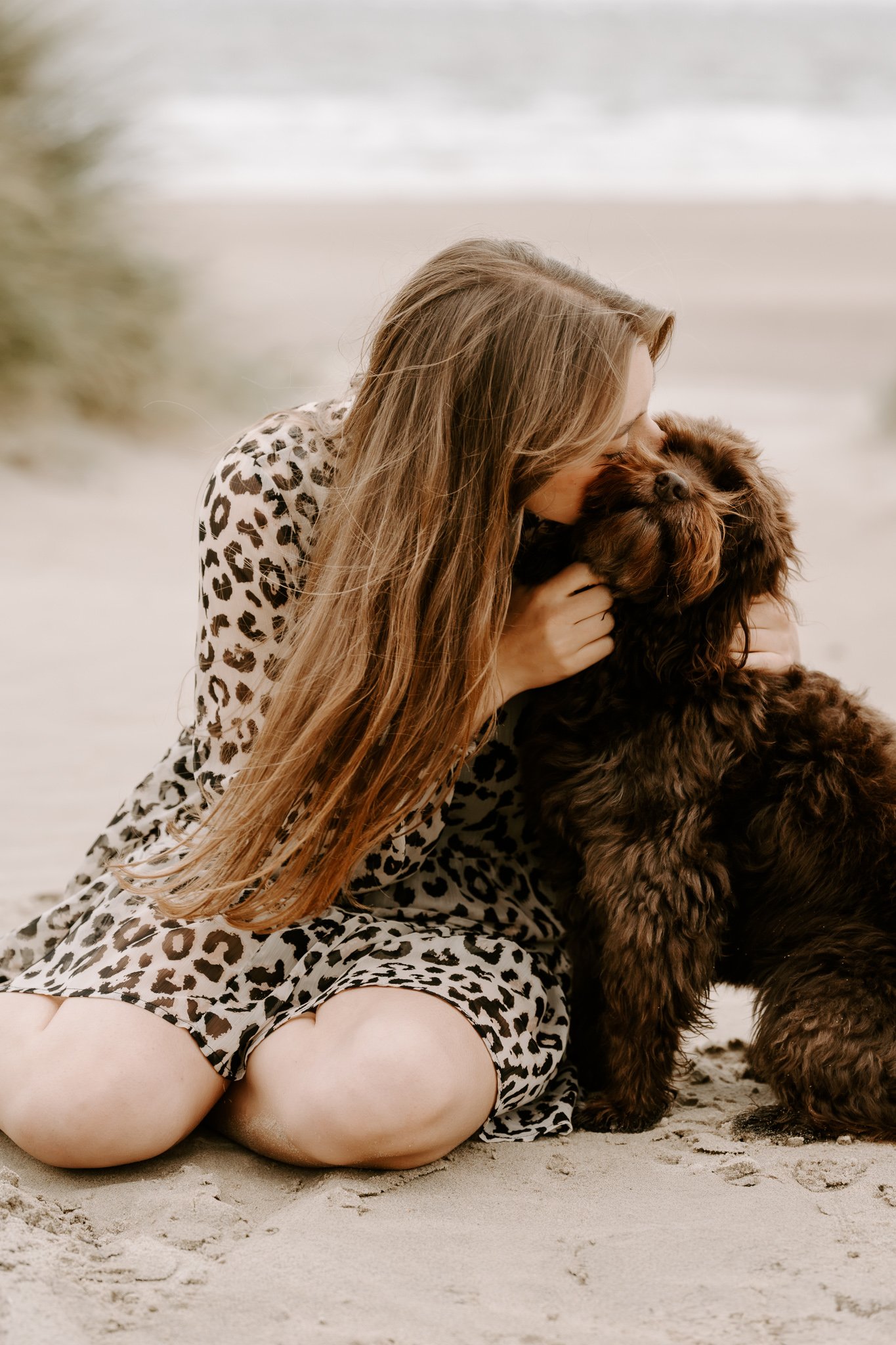 Hundefotos Holland am Strand(23 von 39).jpg