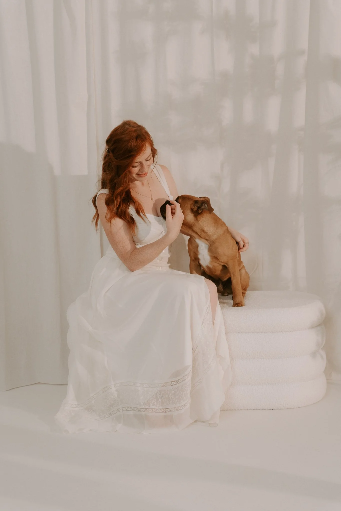 Hundefotografie indoor Köln (7 von 10).jpg