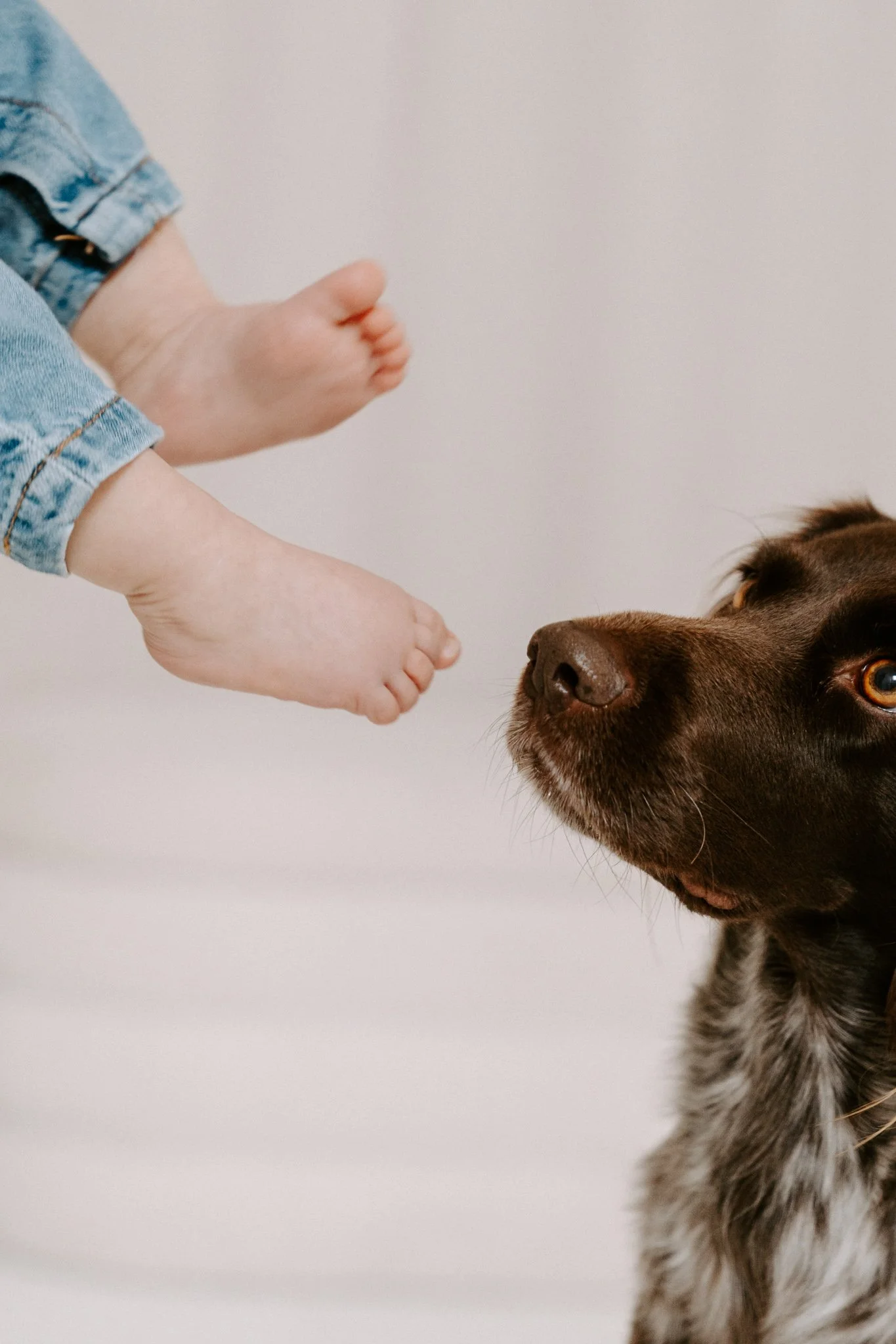 Familienshooting mit Hund Köln (29 von 41).jpg