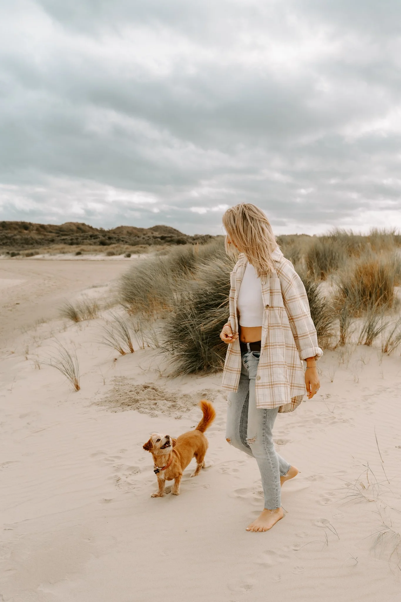 Hundefotos Holland (33 von 155).jpg