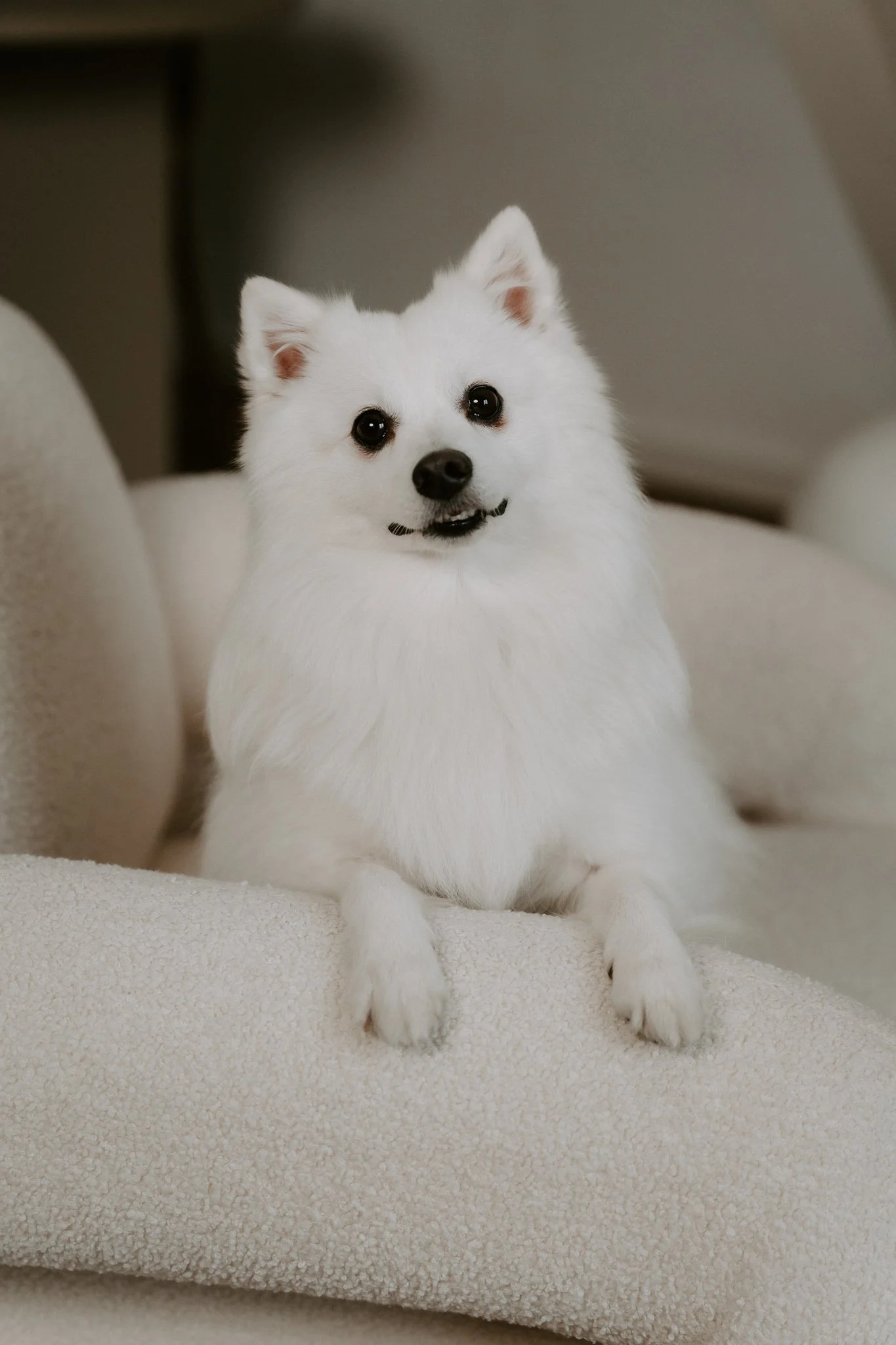 Babybauchshooting Köln (13 von 22).jpg