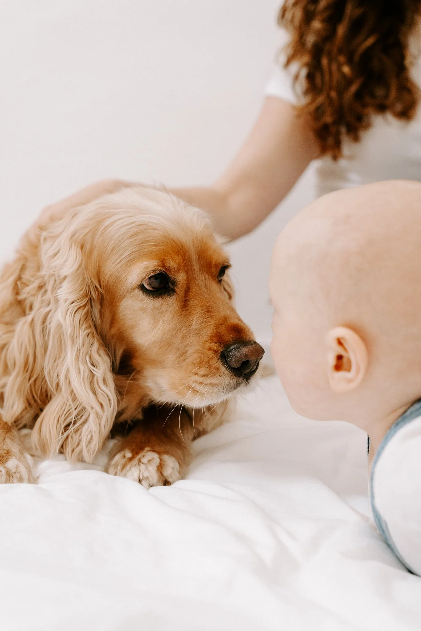Familienshooting mit Hund Köln (35 von 41).jpg
