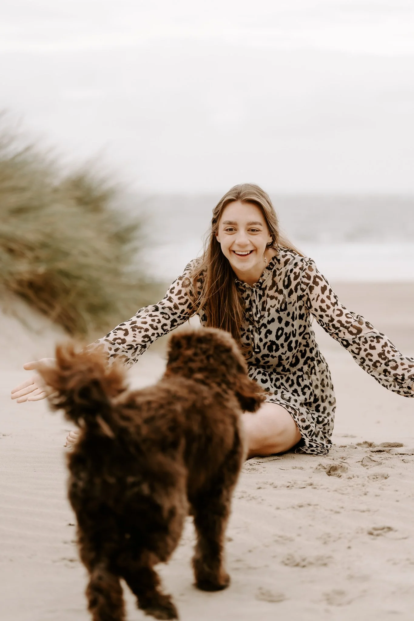 Hundefotos Holland am Strand(21 von 39).jpg