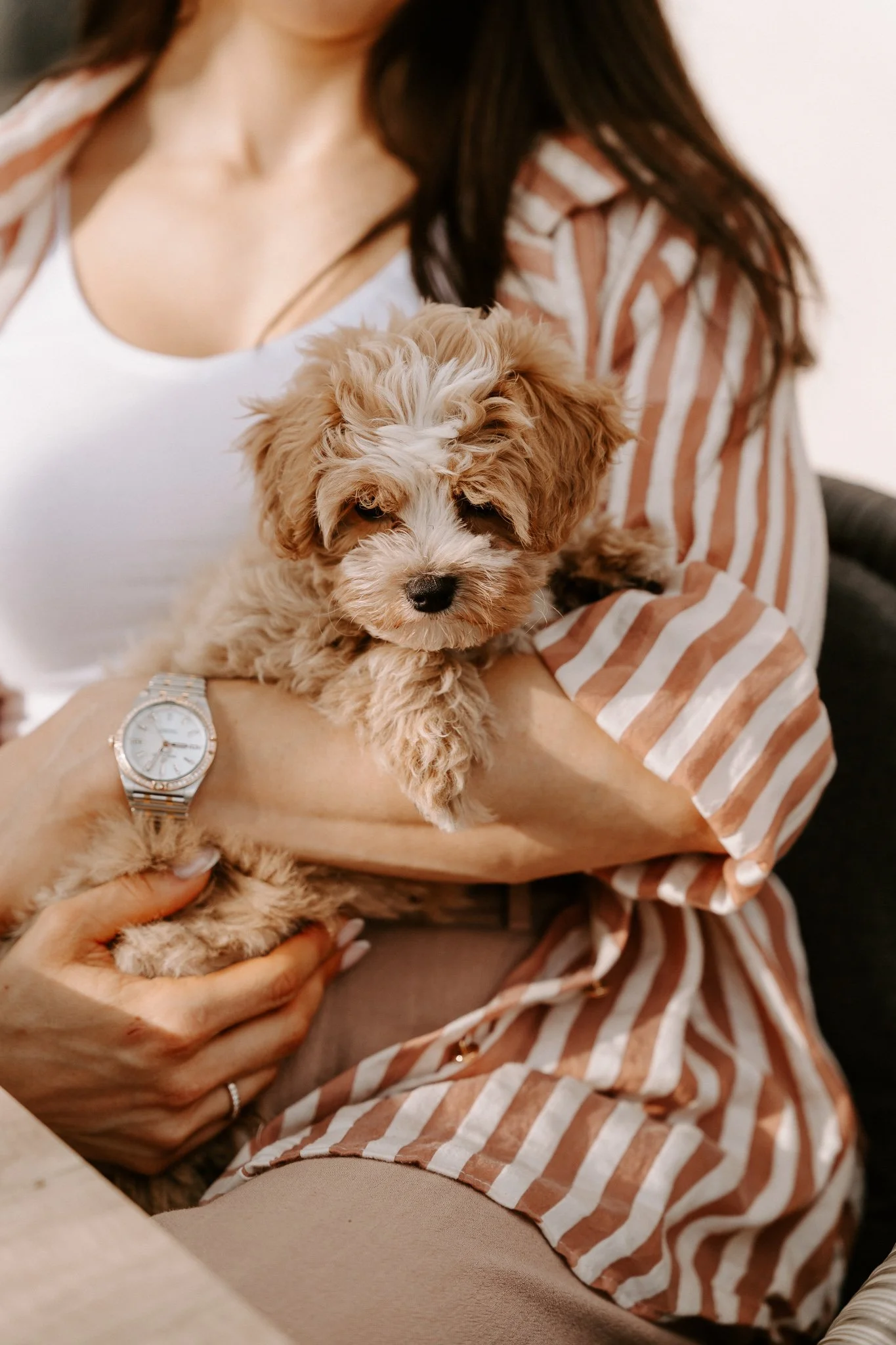 Hundefotografie Outdoor Köln(54 von 134).jpg