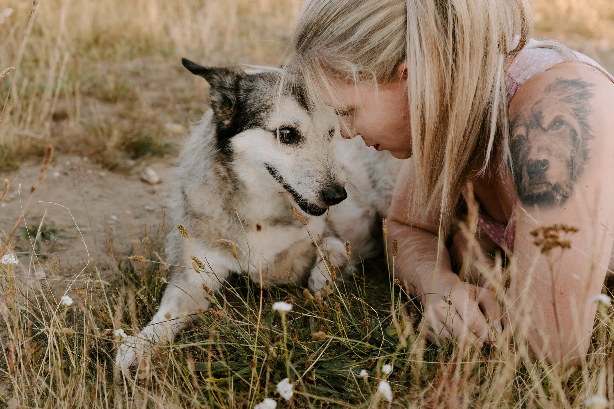 Hundefotografie Köln - Seniorhunde (16 von 35).jpg