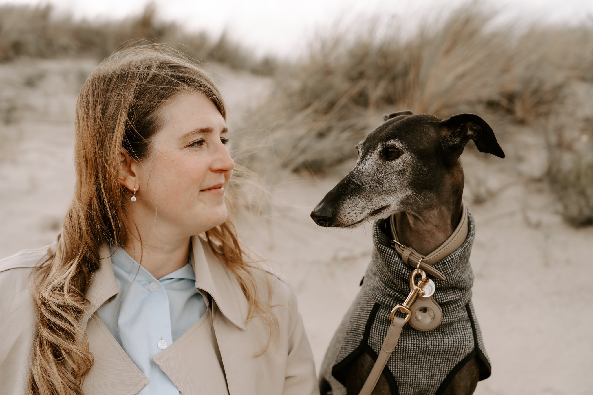 Hundefotografie Holland, Galgo, Windhund(22 von 35).jpg