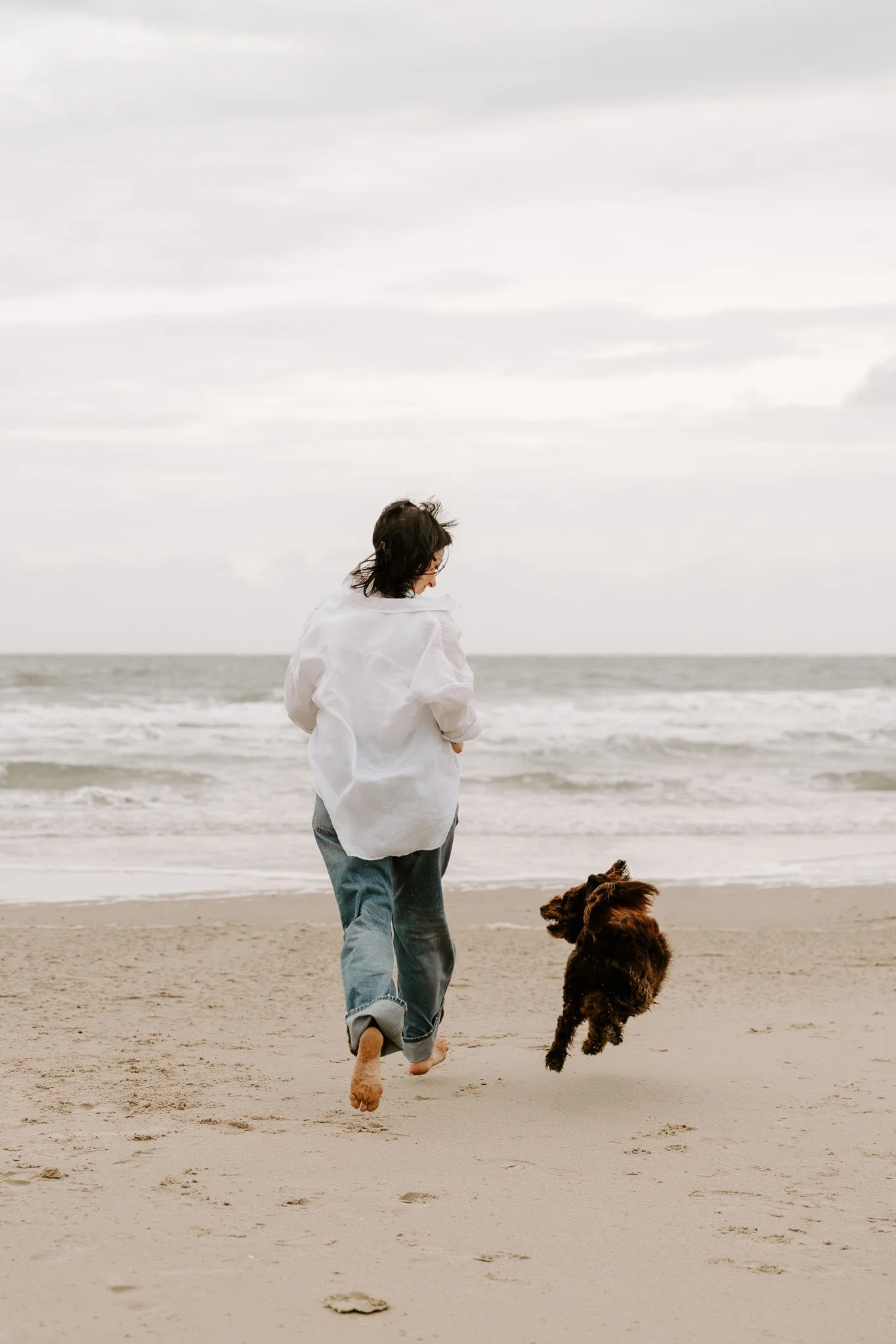 Hundefotos Holland am Strand(11 von 39).jpg