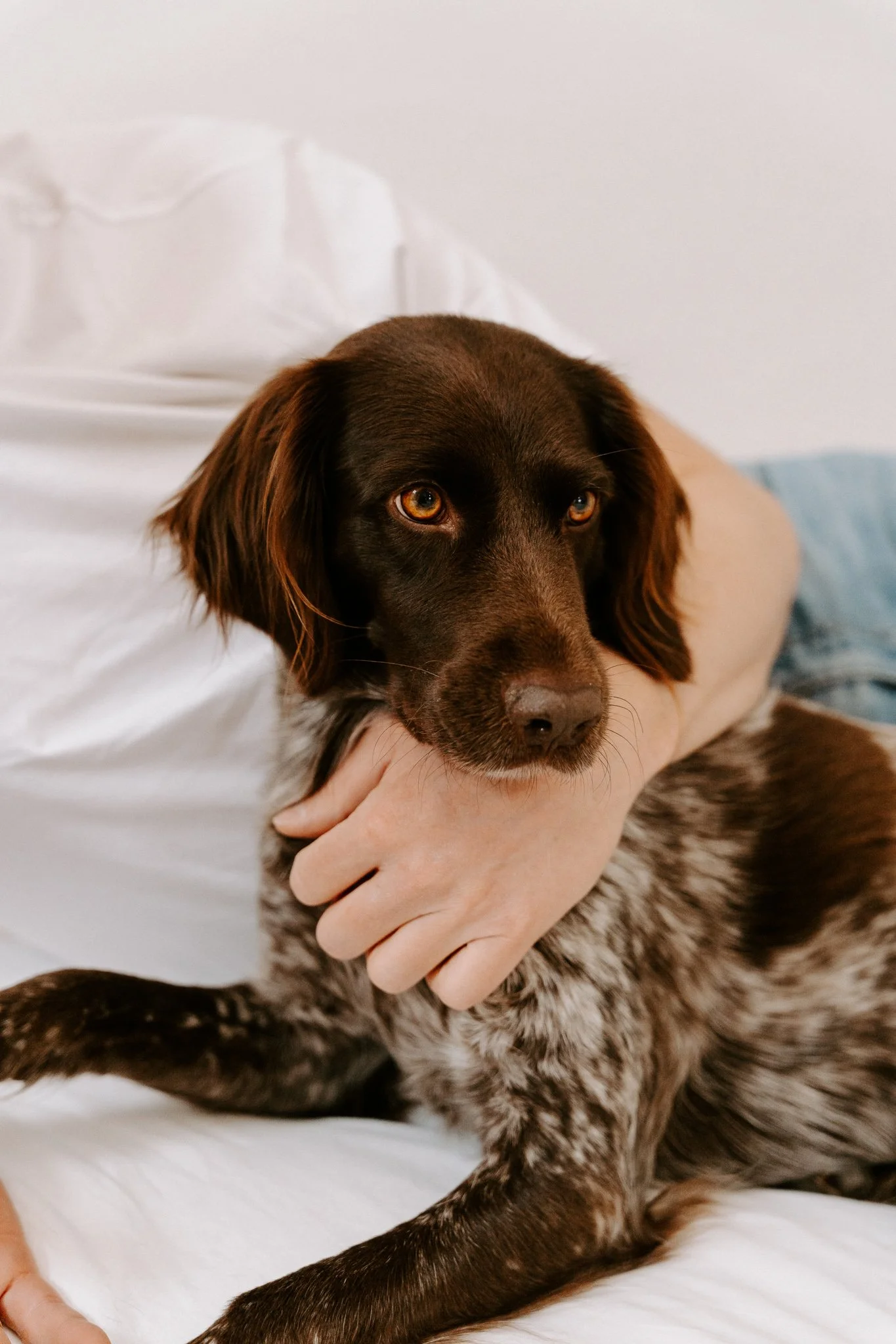 Familienshooting mit Hund Köln (36 von 41).jpg