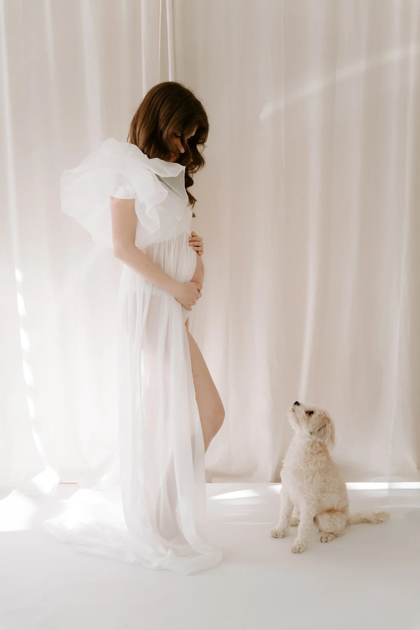 Babybauchshooting mit Hund Köln(20 von 32).jpg