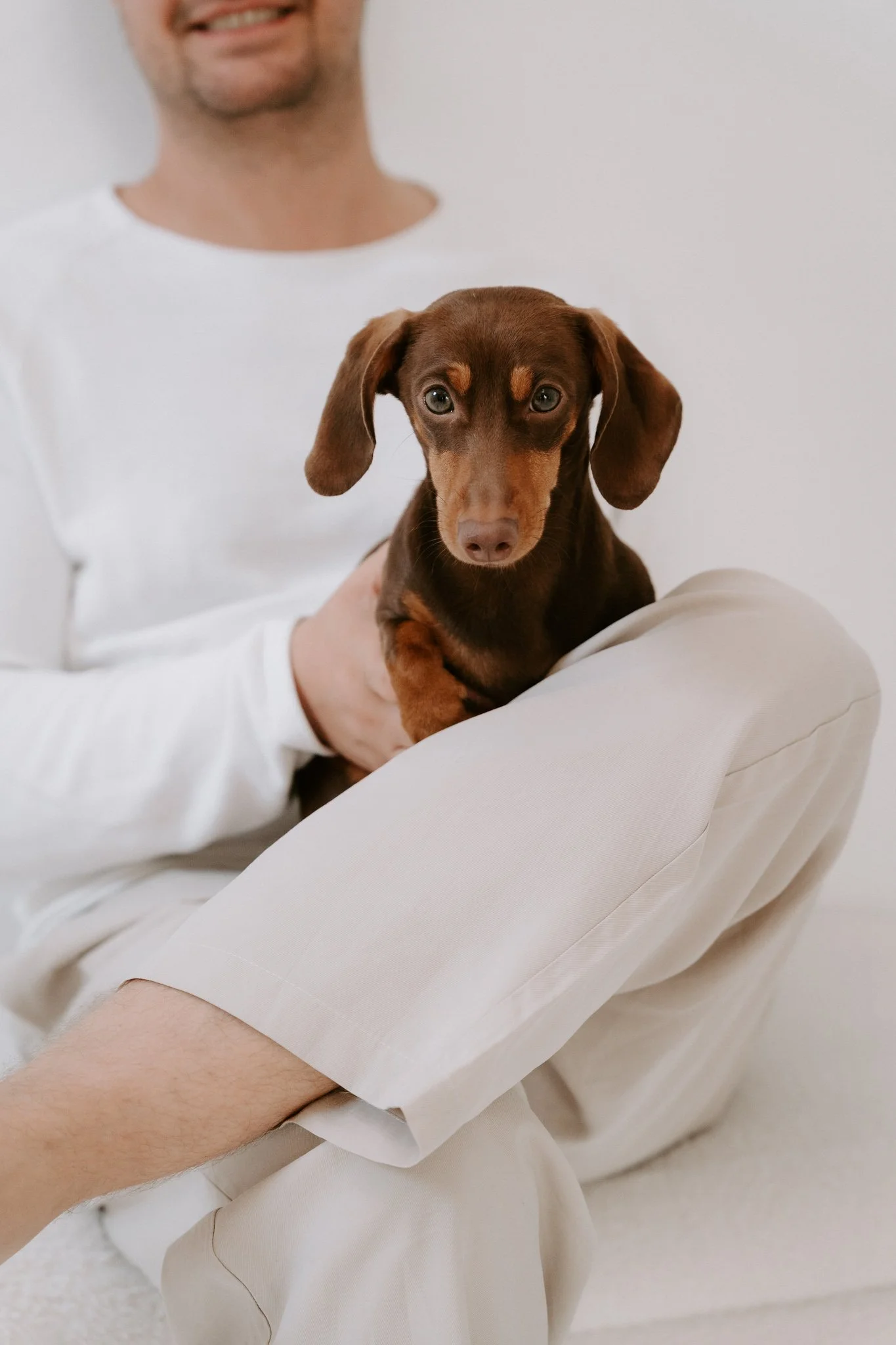Babybauchshooting mit Hund Köln(63 von 65).jpg