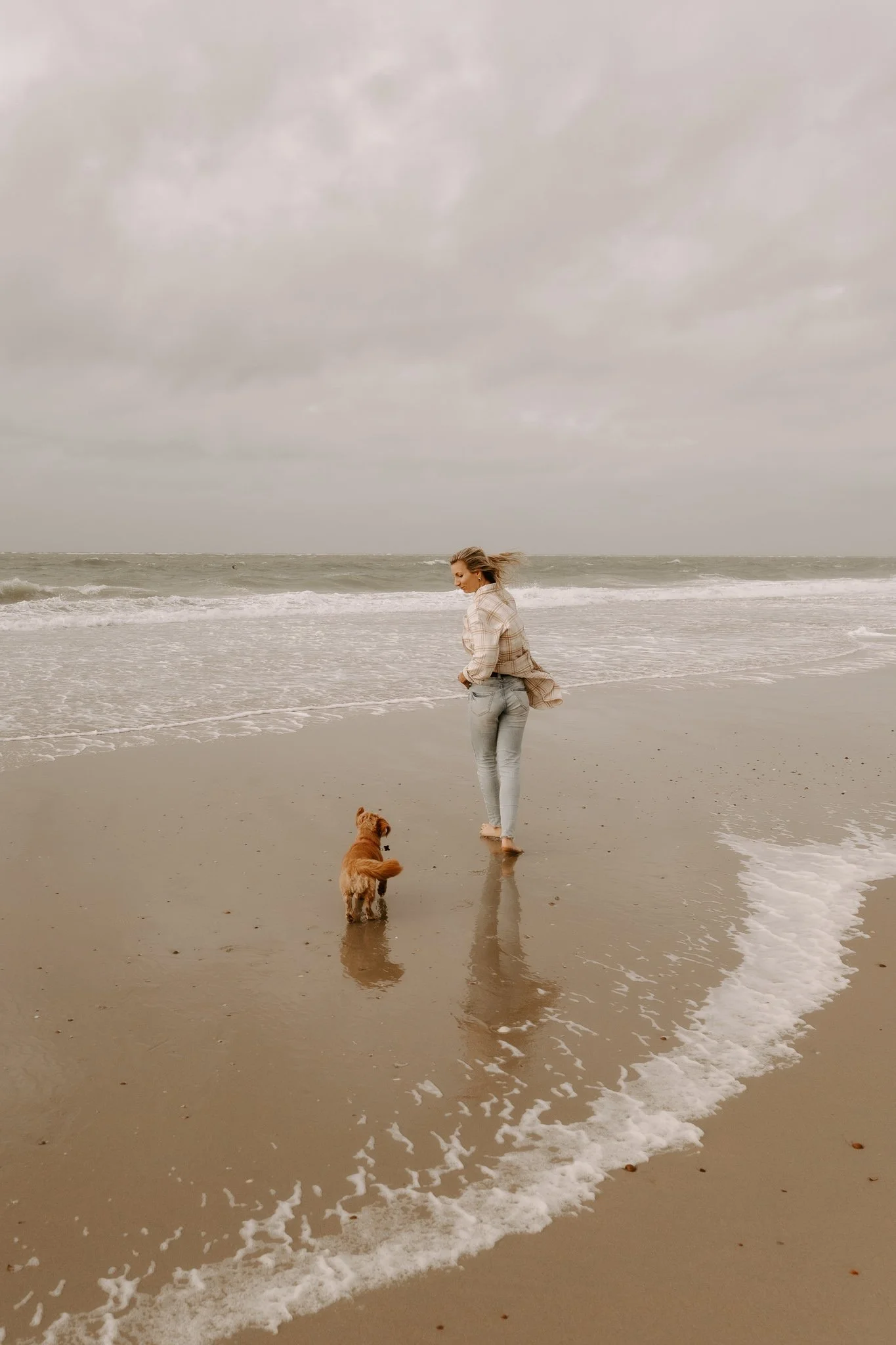 Hundefotos Holland (66 von 155).jpg