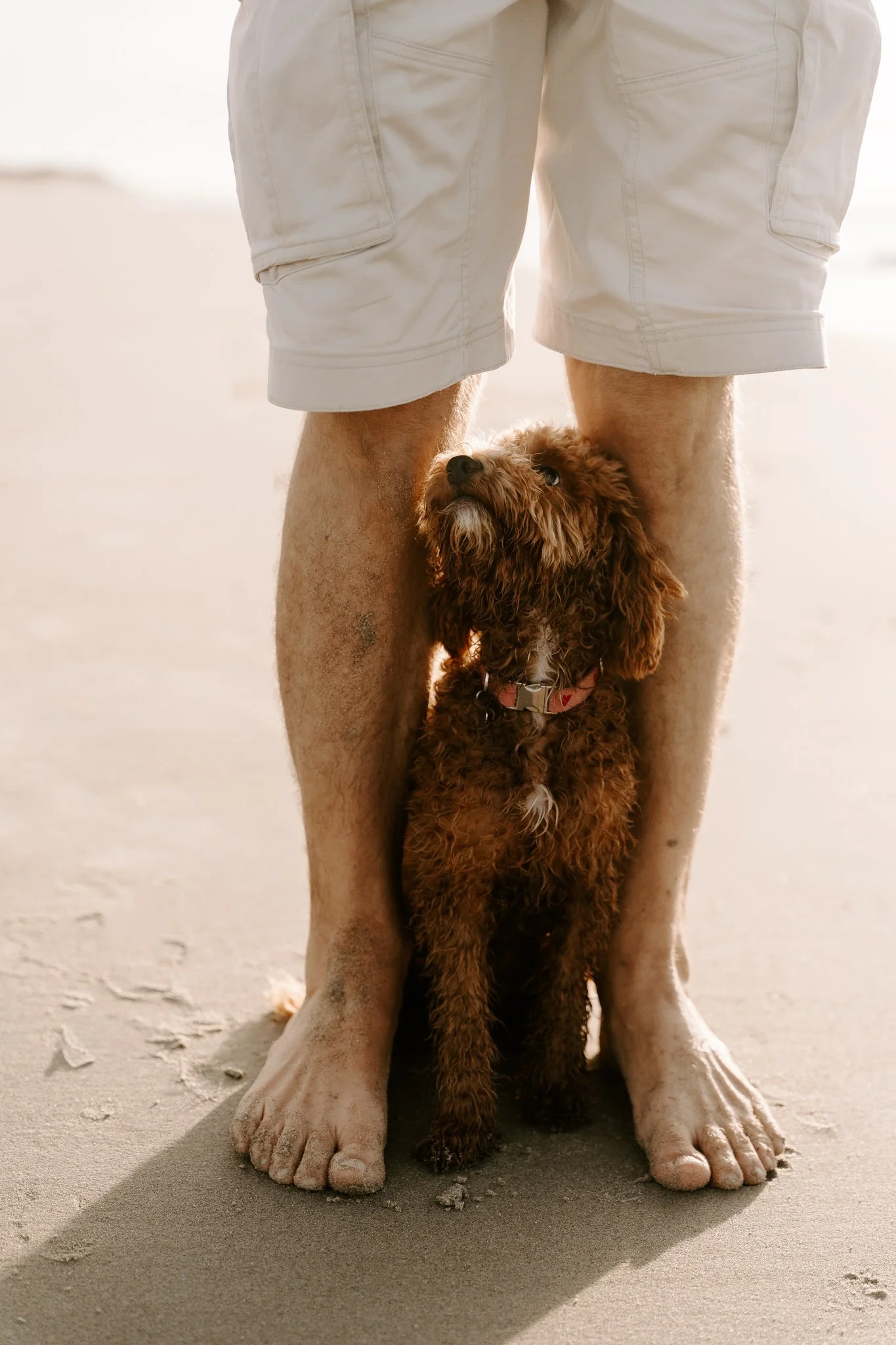 Familienshooting mit Hund in Holland am Strand (39 von 56).jpg