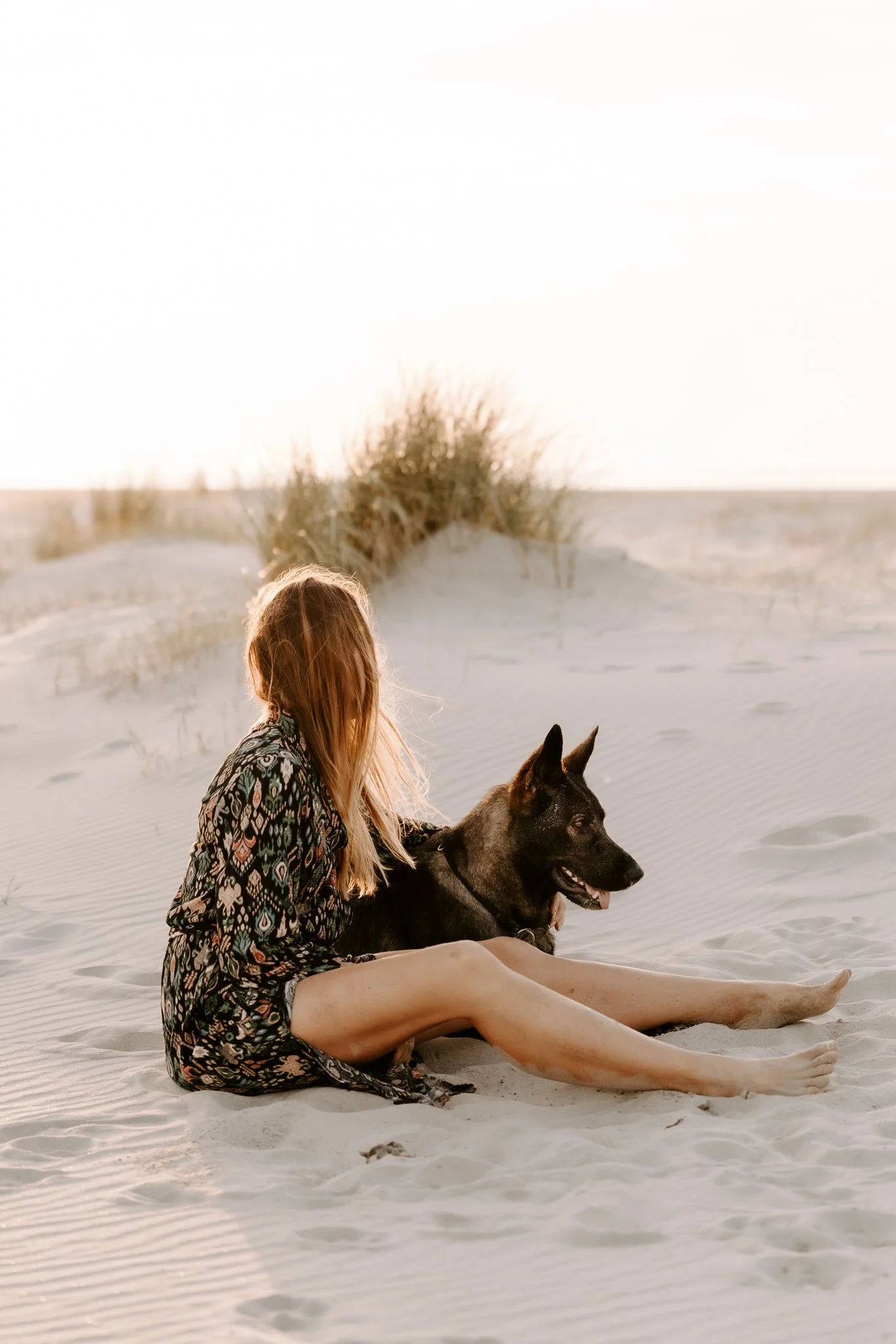 Hundefotografie Holland (11 von 21).jpg