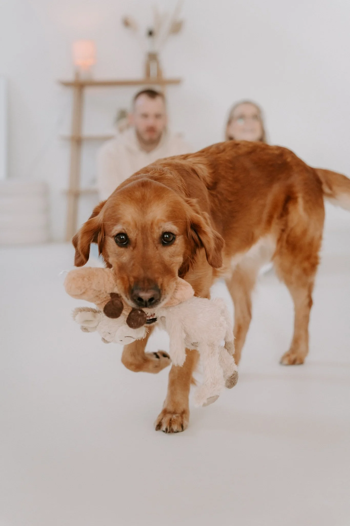Welpenshooting Köln (14 von 40).jpg
