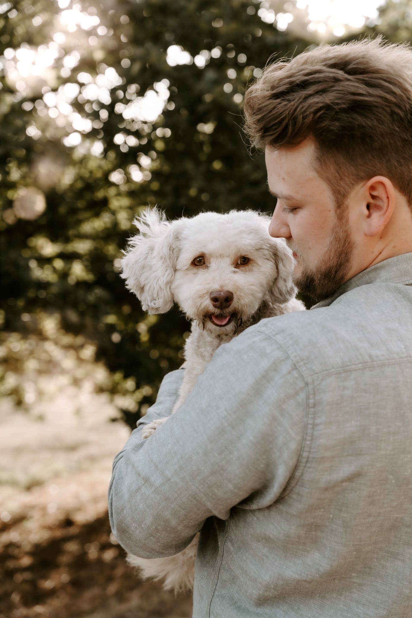 Hundefotografie Köln outdoor (43 von 130).jpg