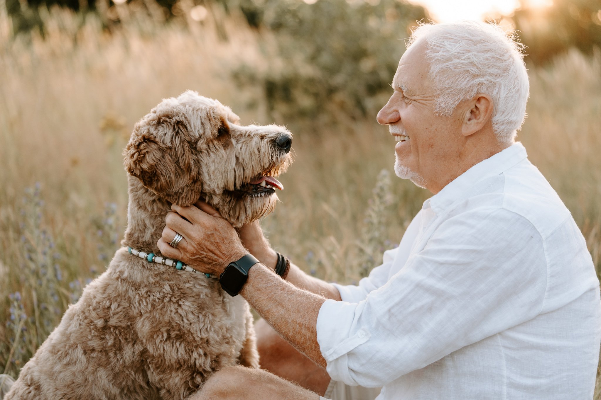 Hundefotografie outdoor Köln (93 von 101).jpg