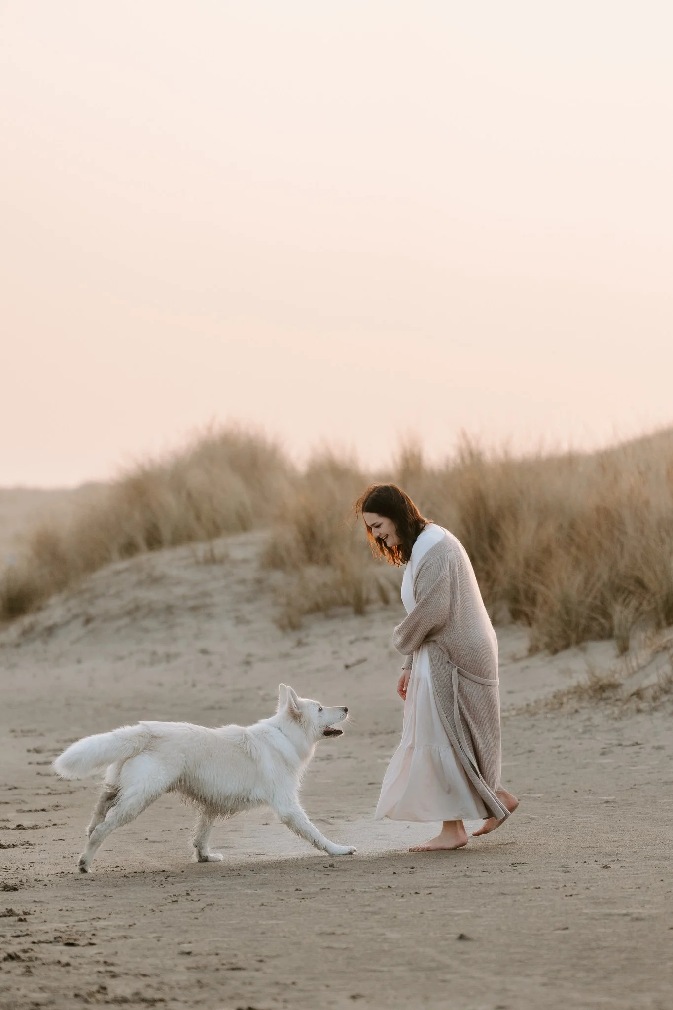 Hundefotografie Holland (4 von 12).jpg