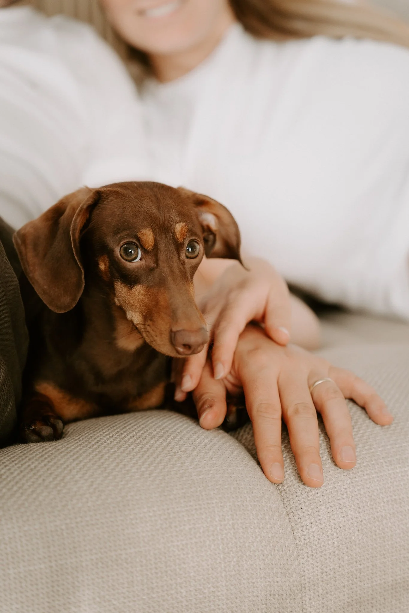 Babybauchshooting mit Hund Köln(30 von 65).jpg